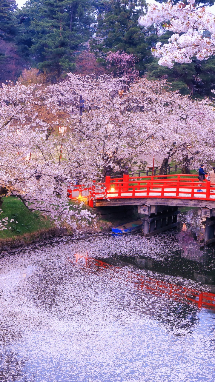 东京, 城市, 水道, 工厂, 日本花园 壁纸 720x1280 允许