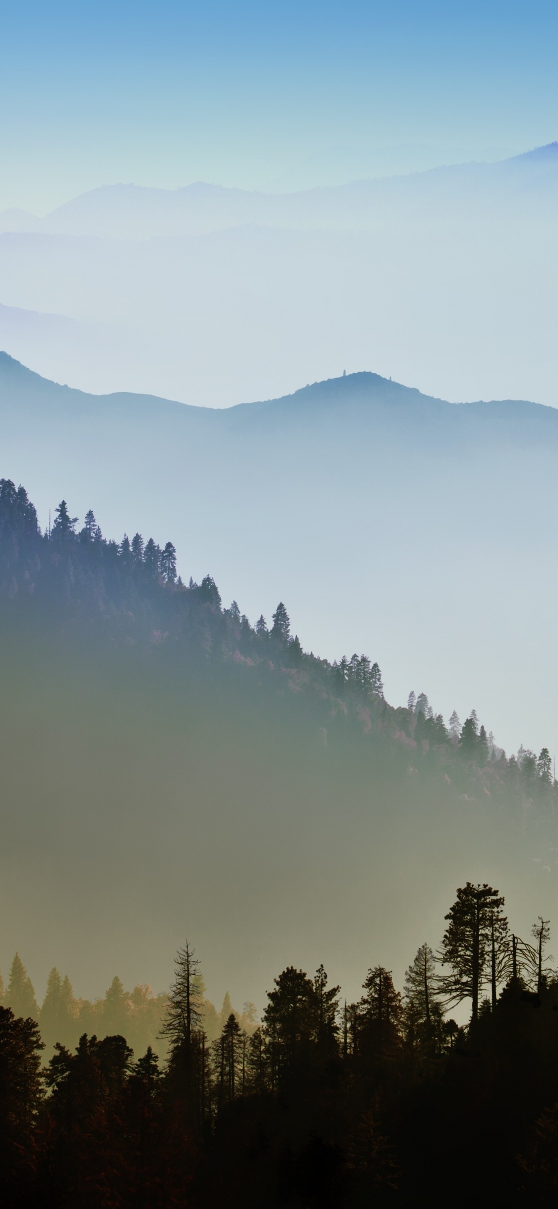 Tagsüber Grüne Bäume Auf Dem Berg. Wallpaper in 1125x2436 Resolution