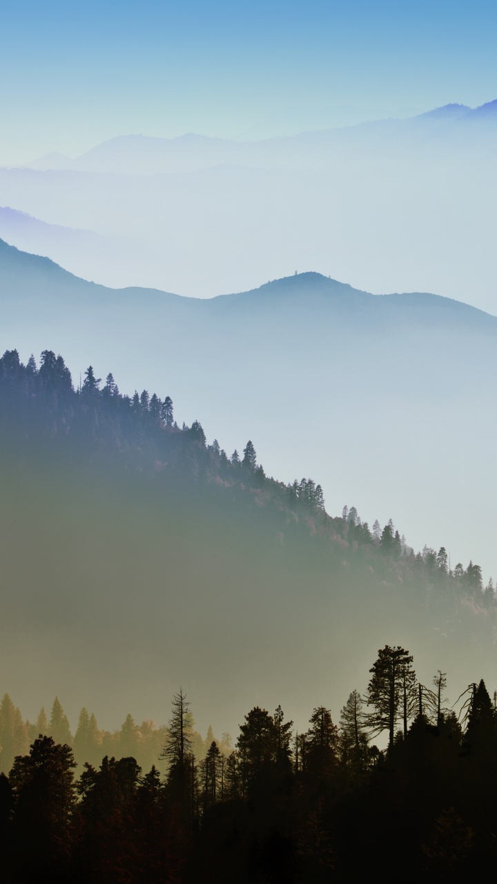 Tagsüber Grüne Bäume Auf Dem Berg. Wallpaper in 720x1280 Resolution