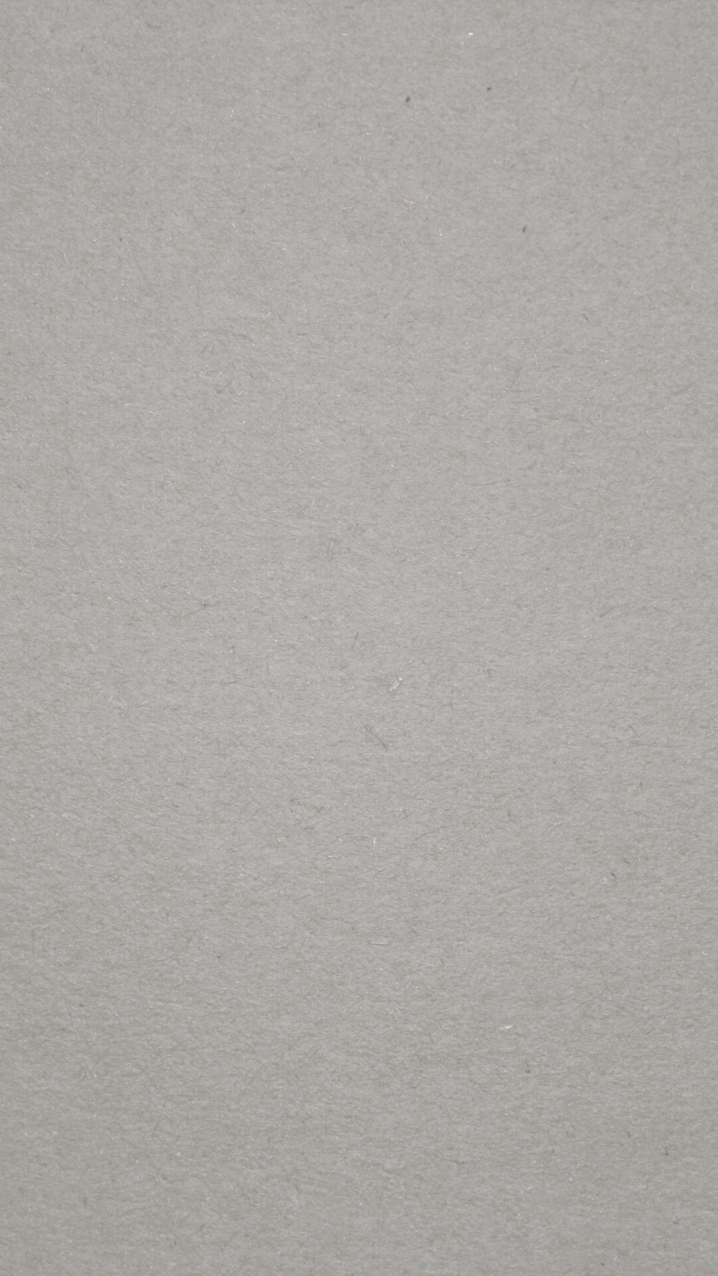 Peinture Murale Blanche Avec Ombre Noire. Wallpaper in 1440x2560 Resolution