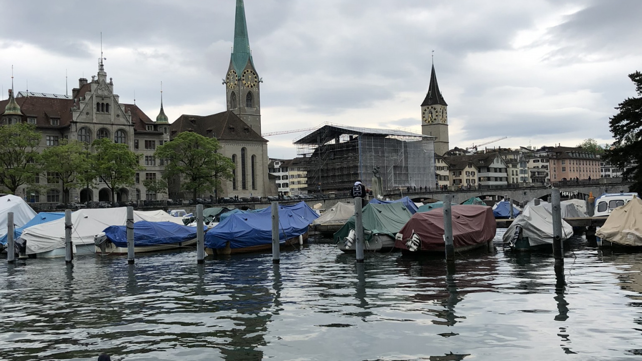 Fraumnster, 绿头鸭, 鹅, 人体内的水, 鸟 壁纸 1280x720 允许