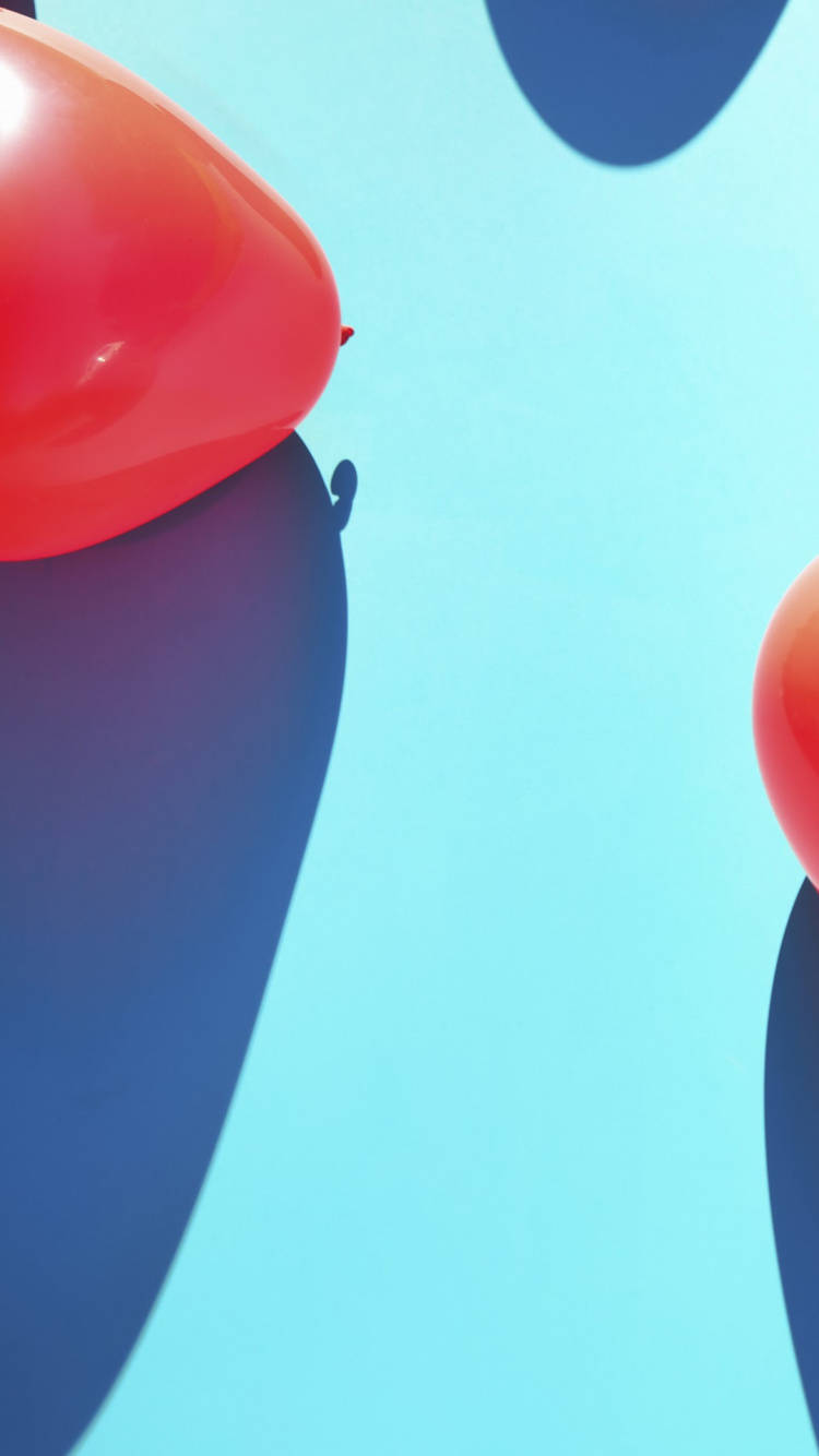 Nokia, Nokia 8, Nokia 6, Nokia 3, Nokia 5. Wallpaper in 750x1334 Resolution