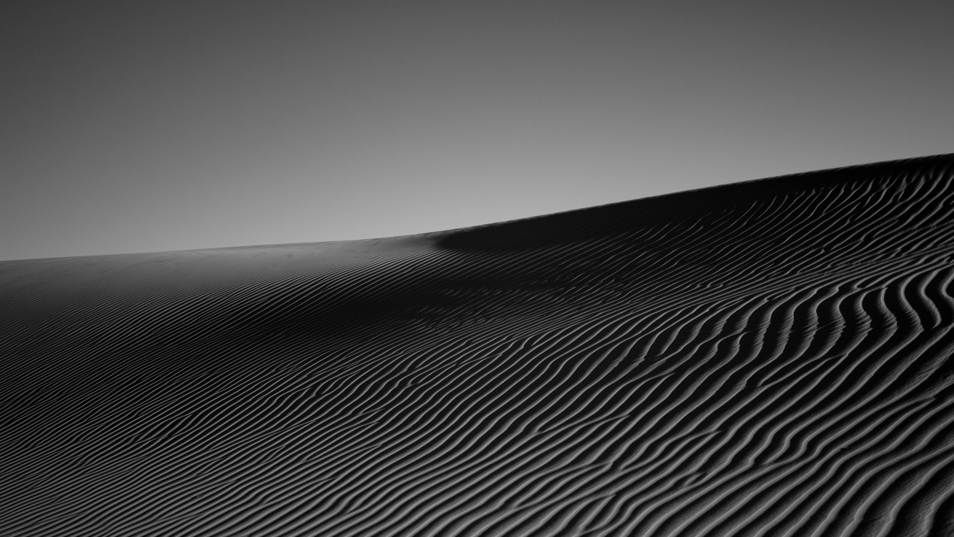 Graustufenfoto Von Wüstensand. Wallpaper in 1920x1080 Resolution