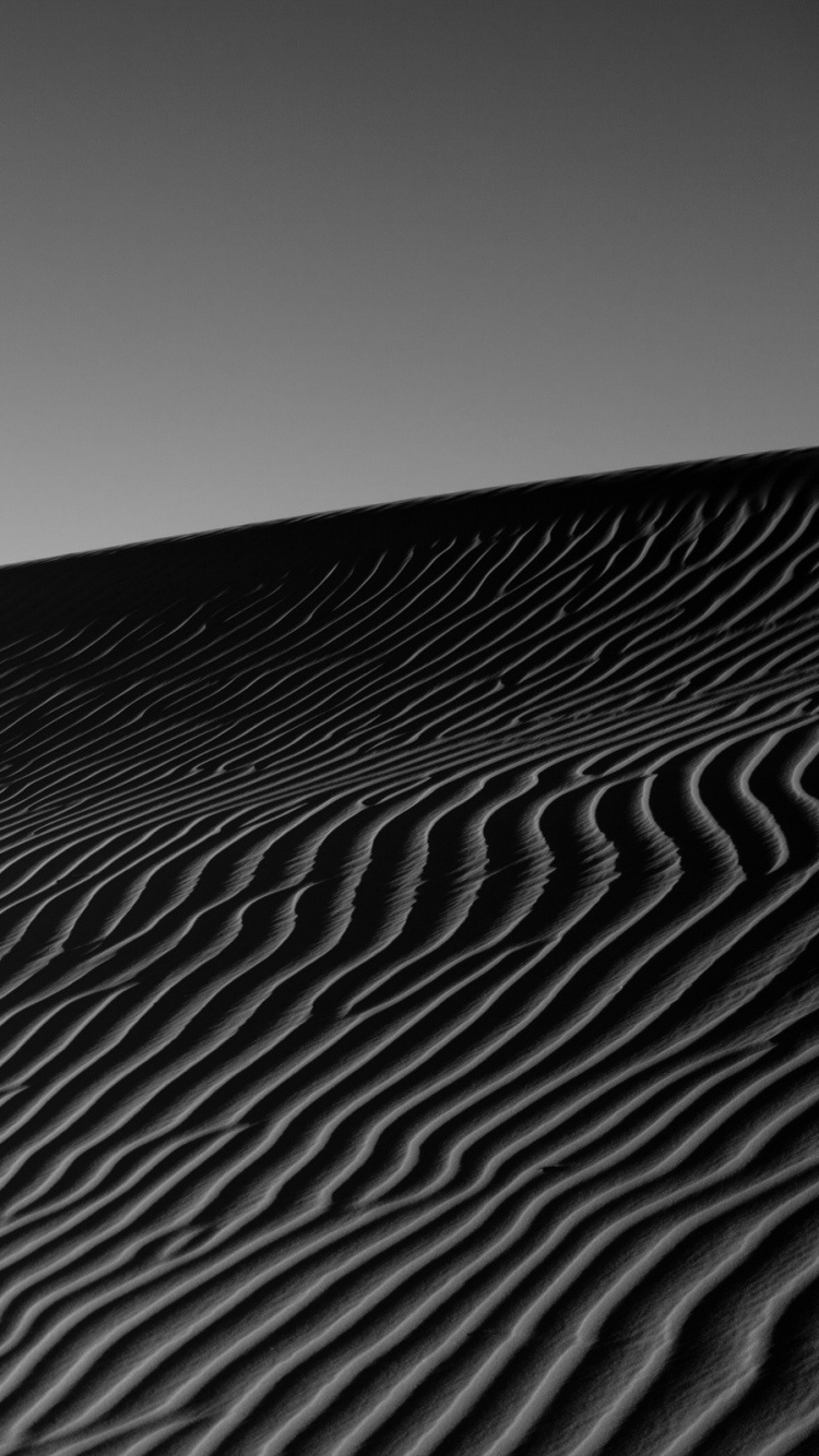 Graustufenfoto Von Wüstensand. Wallpaper in 750x1334 Resolution