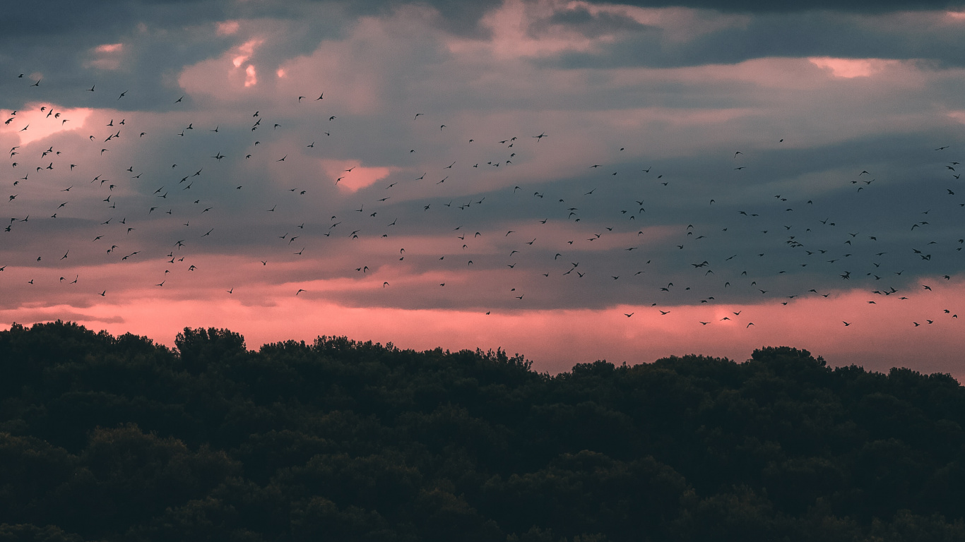 Sunset, Cloud, Horizon, Blue, Atmosphere. Wallpaper in 1366x768 Resolution