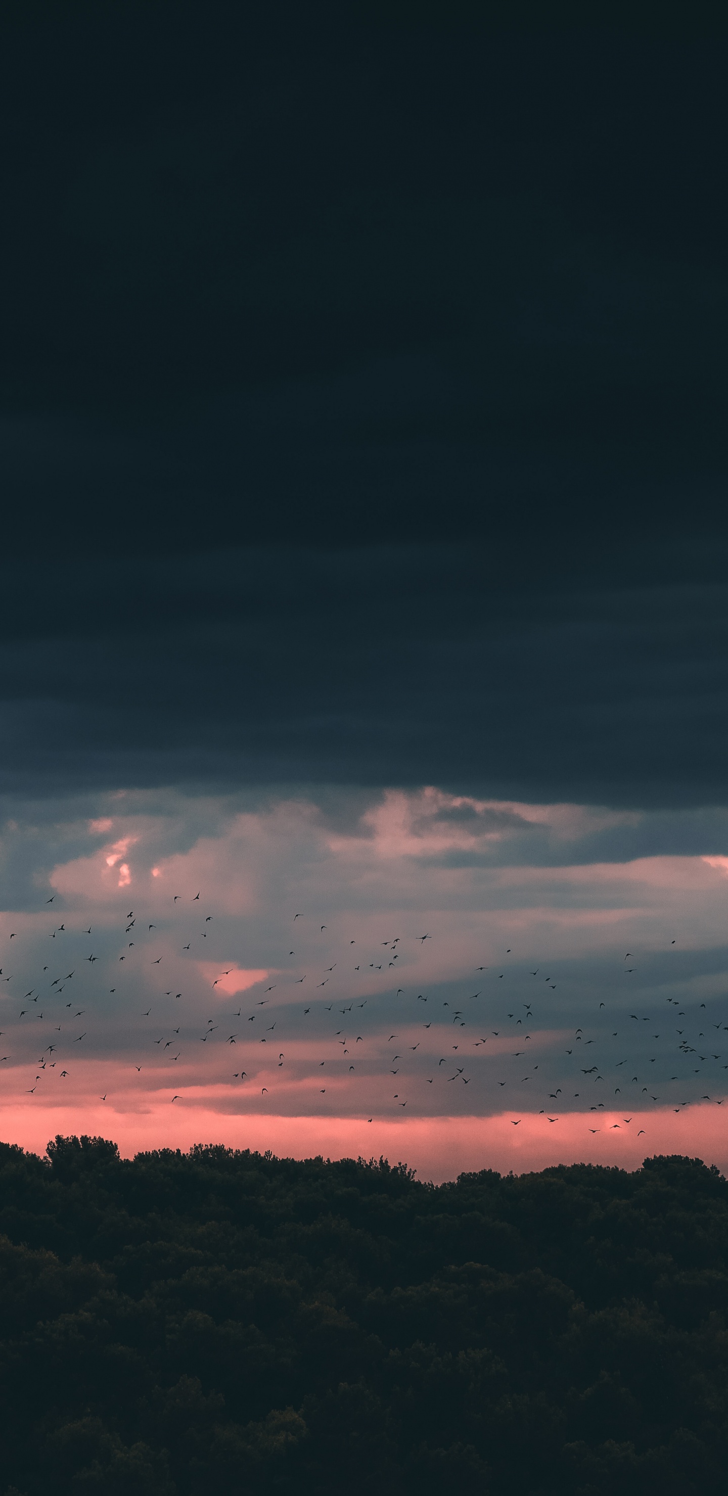 Sunset, Cloud, Horizon, Blue, Atmosphere. Wallpaper in 1440x2960 Resolution