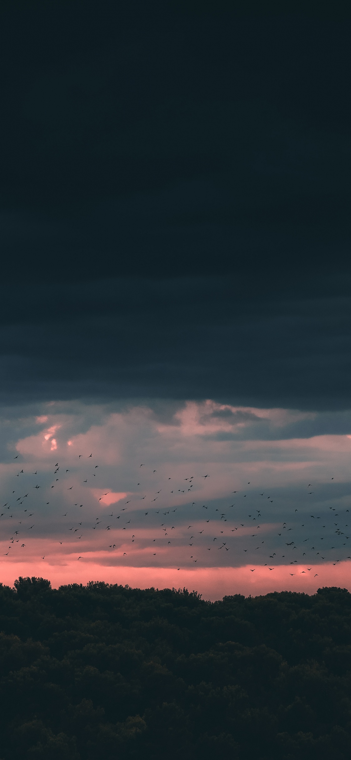 Horizon, Blue, Atmosphère, Pink, Soir. Wallpaper in 1125x2436 Resolution