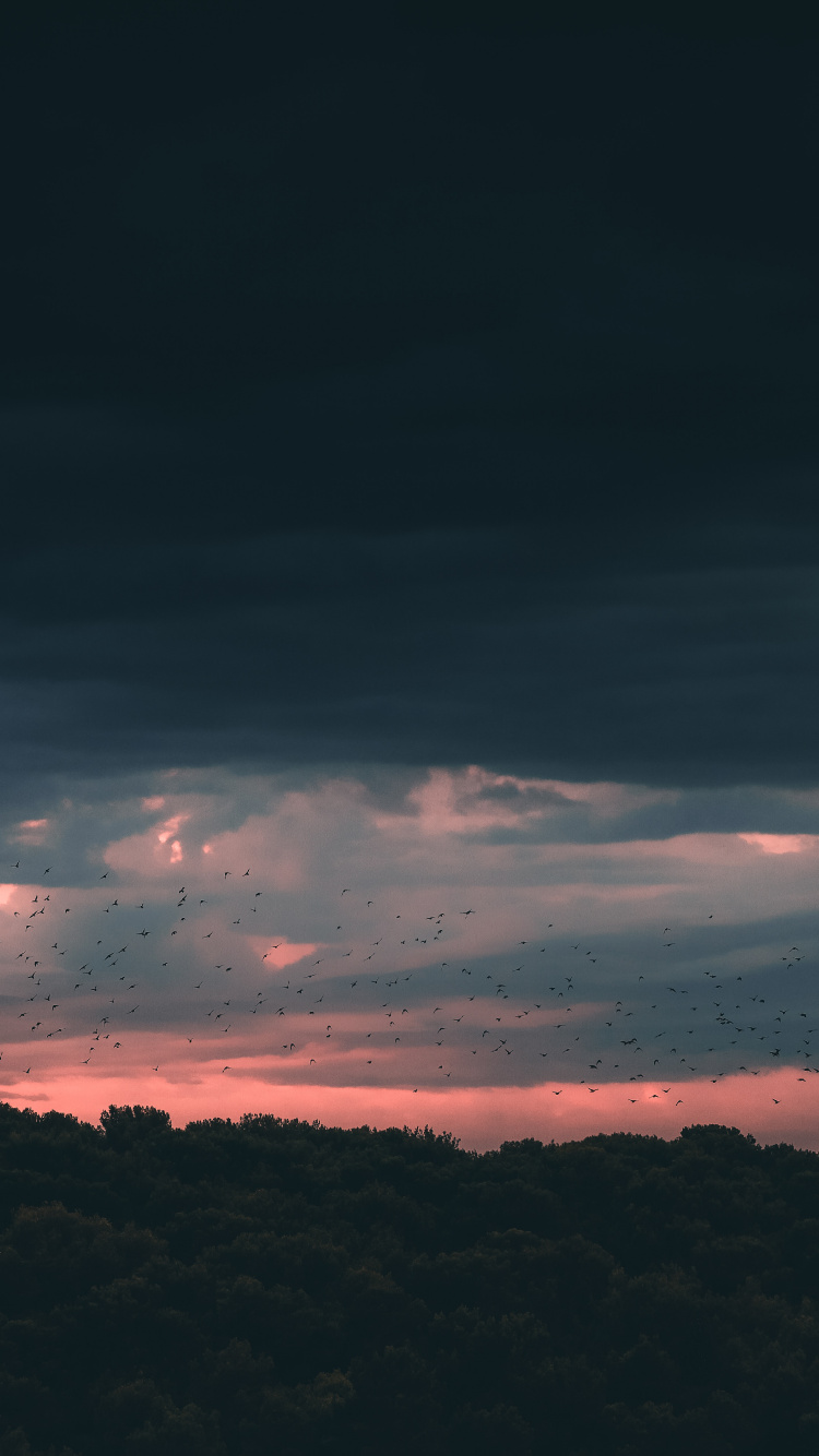 Horizon, Blue, Atmosphère, Pink, Soir. Wallpaper in 750x1334 Resolution