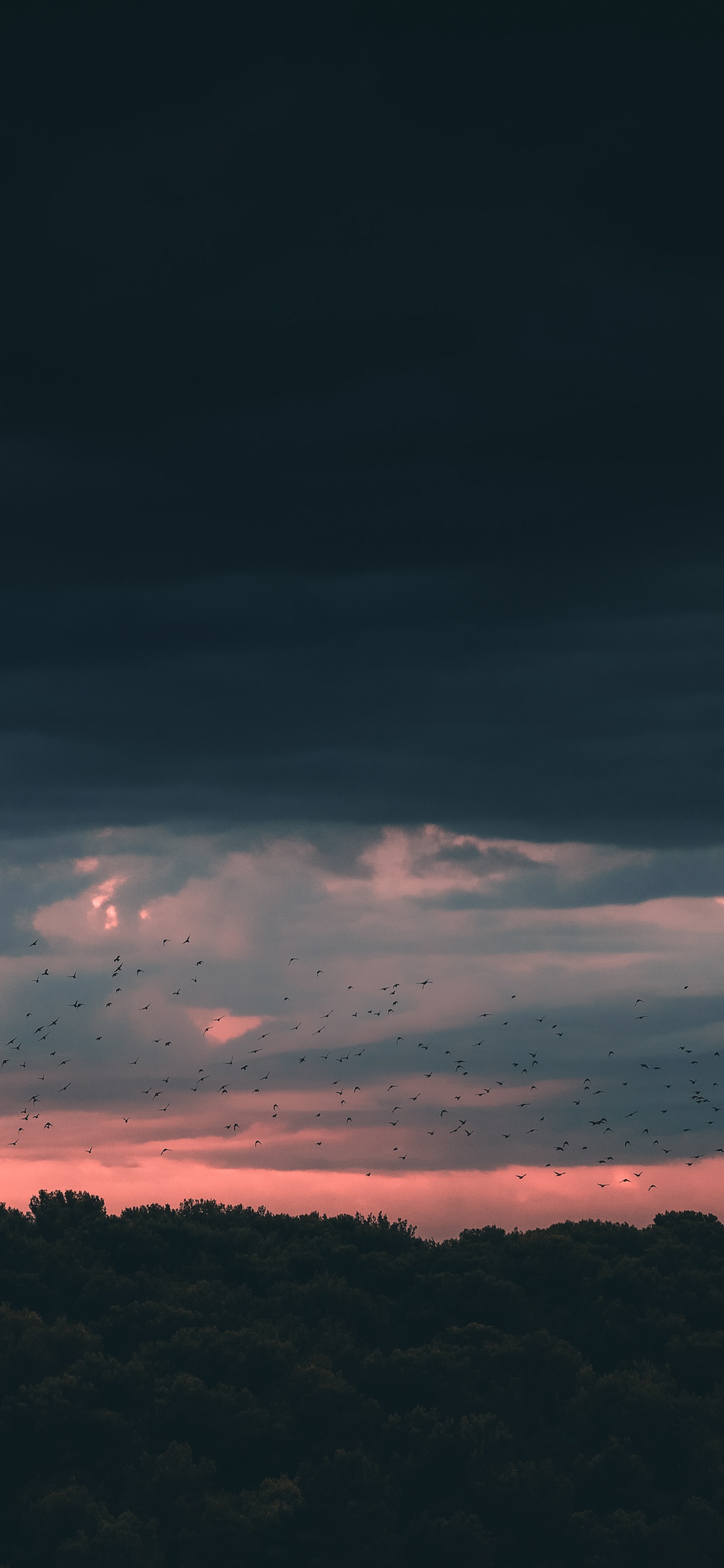 Sonnenuntergang, Cloud, Horizont, Blau, Atmosphäre. Wallpaper in 1242x2688 Resolution