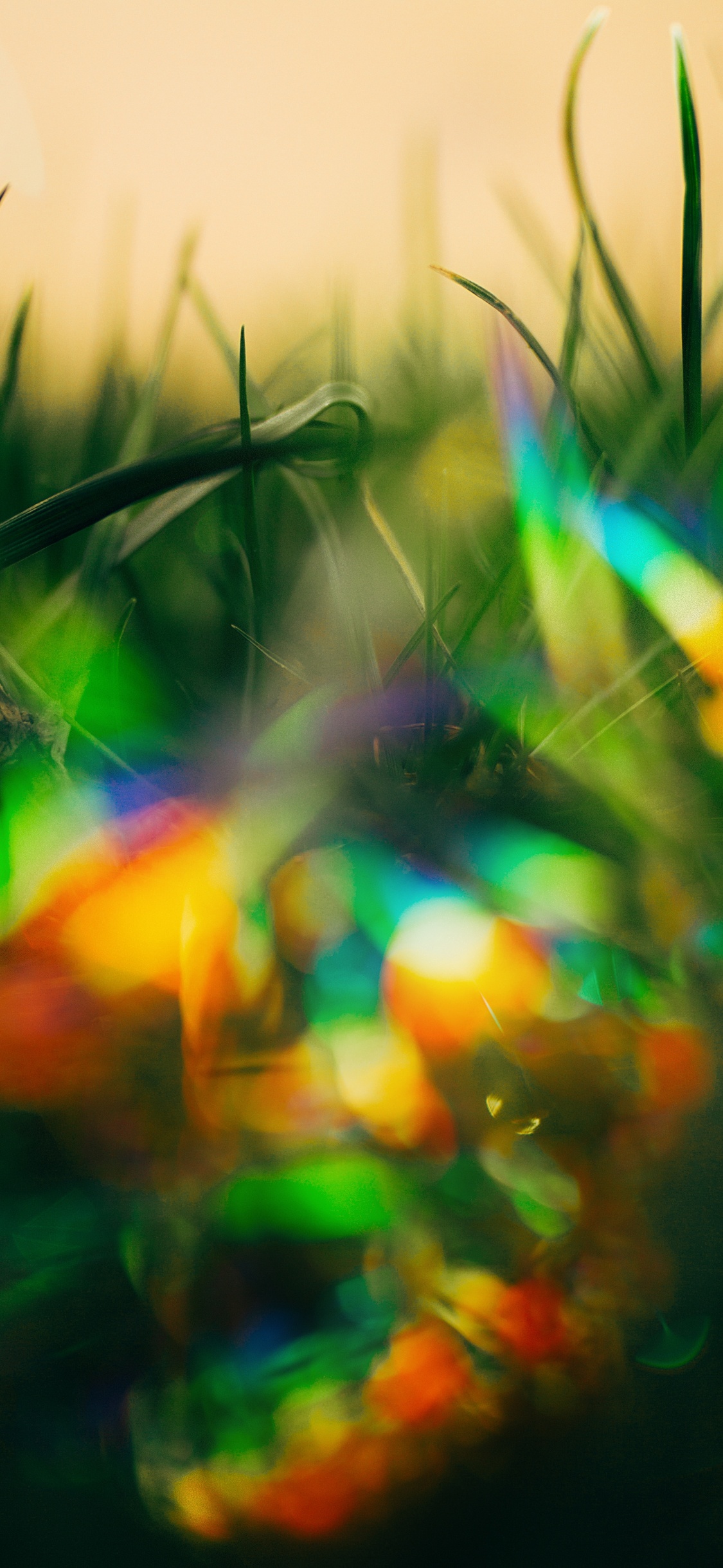 Bokeh, Gr, Licht, Farbigkeit, Blatt. Wallpaper in 1125x2436 Resolution