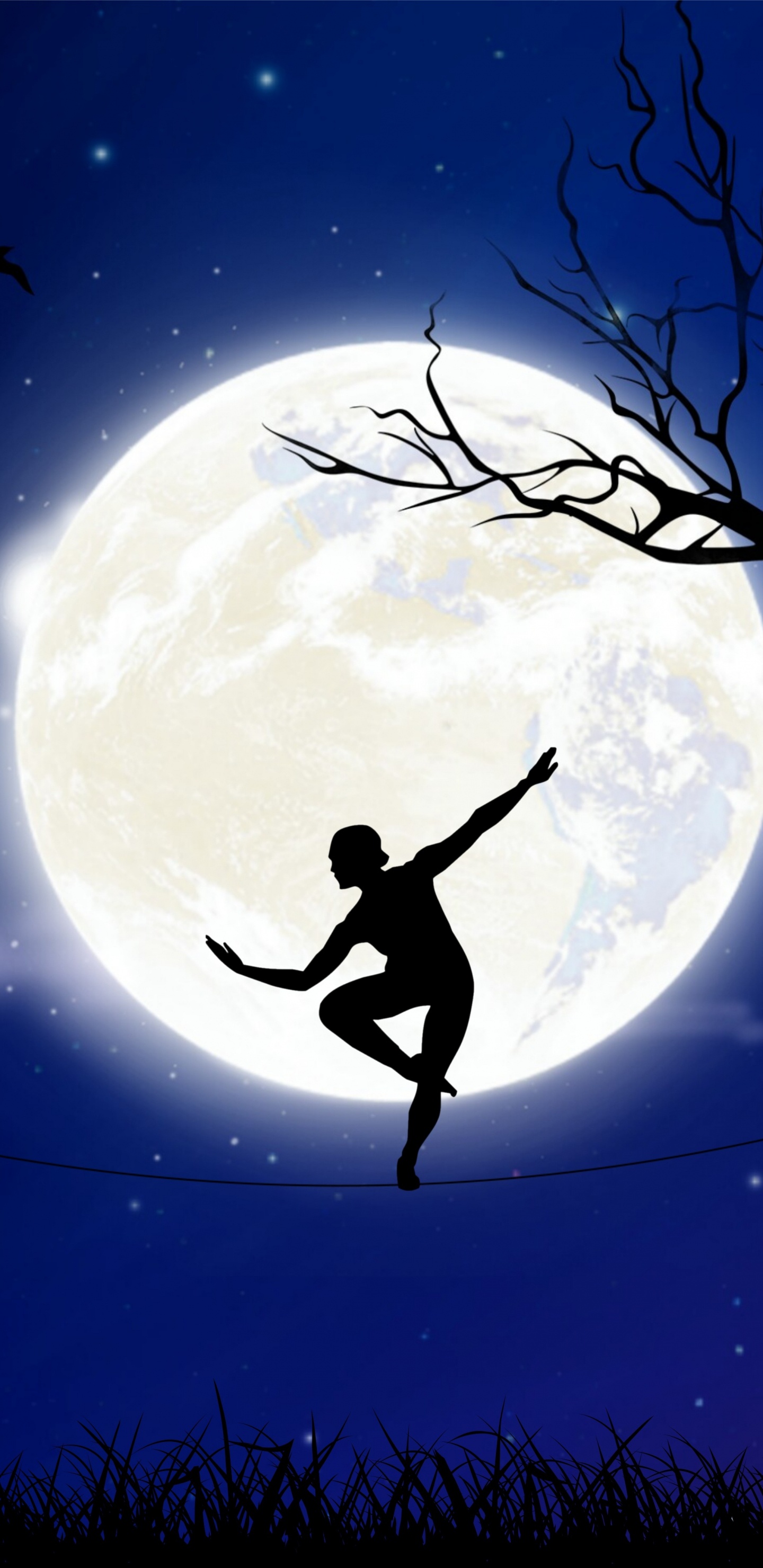 Silhouette D'oiseau Volant Au-dessus de la Lune. Wallpaper in 1440x2960 Resolution