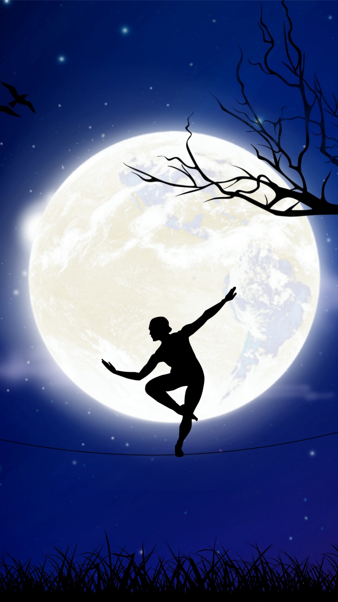 Silueta de Pájaro Volando Sobre la Luna. Wallpaper in 1080x1920 Resolution