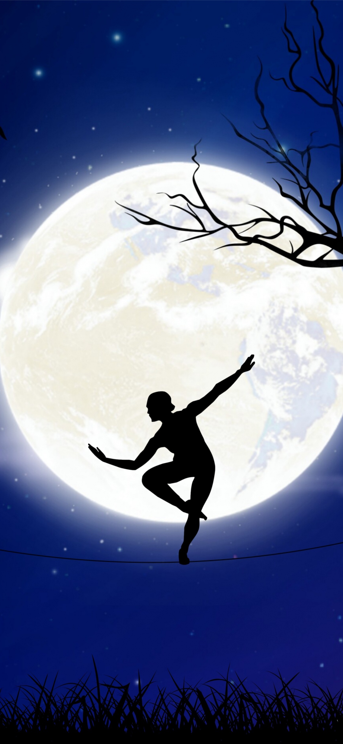 Silhouette Eines Vogels, Der Über Den Mond Fliegt. Wallpaper in 1125x2436 Resolution