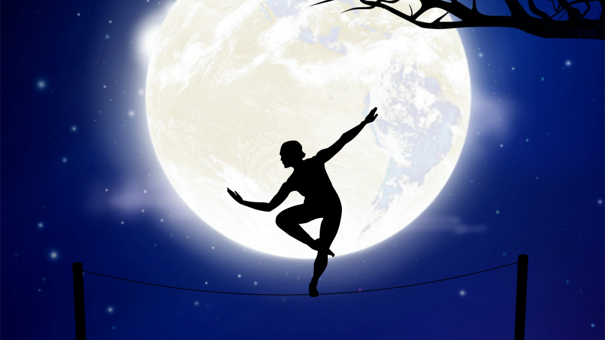 Silhouette of Bird Flying Over The Moon. Wallpaper in 2560x1440 Resolution