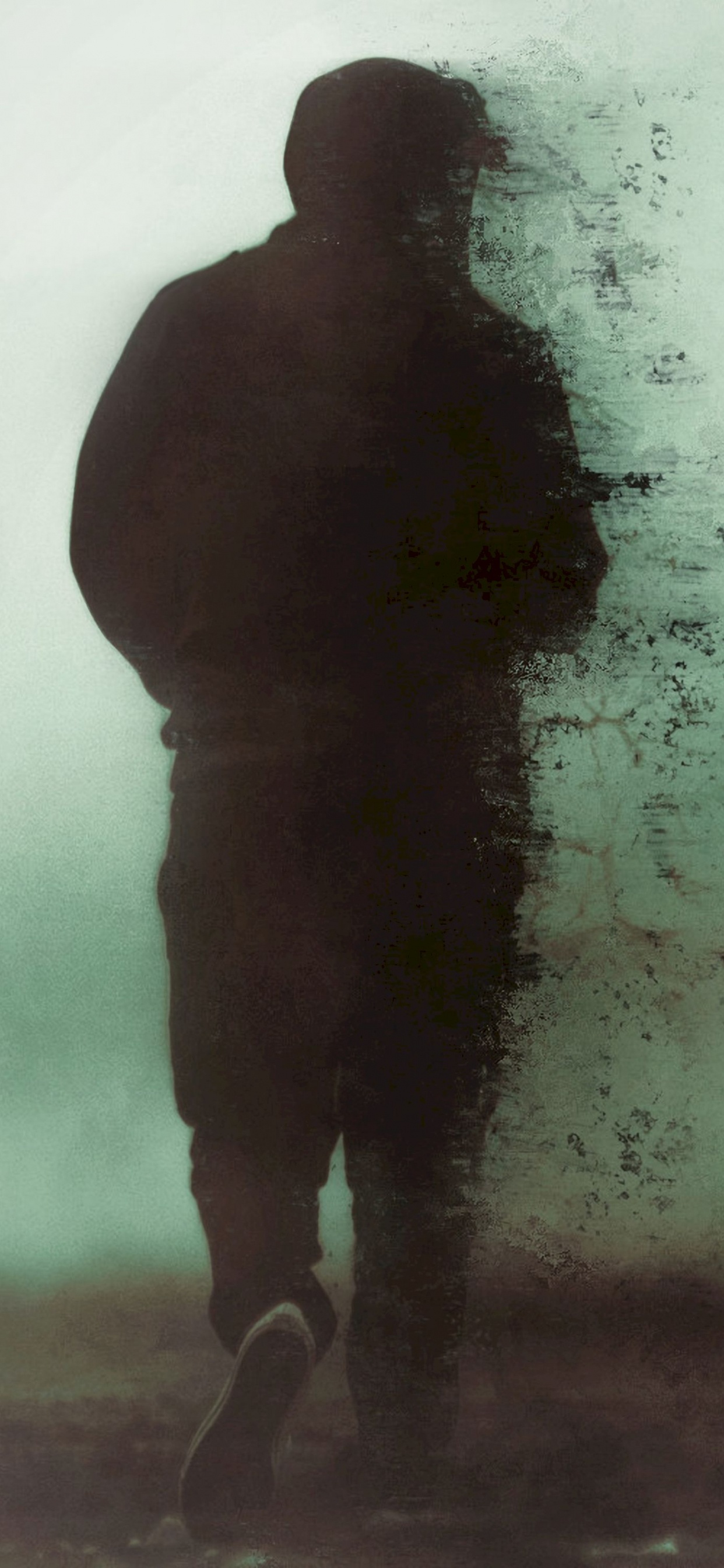 剪影, 气氛, 雾, 首歌, 烟雾 壁纸 1242x2688 允许