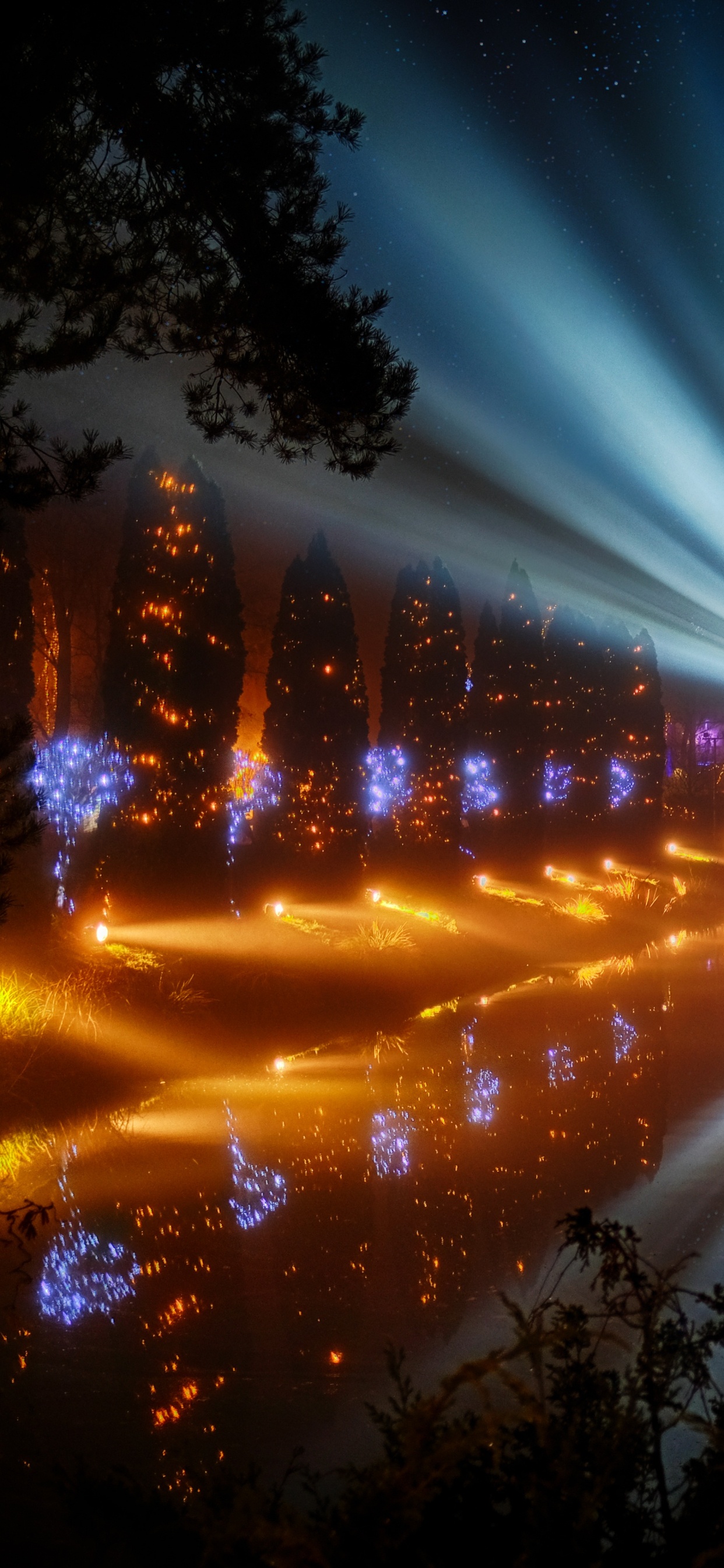 Luces Azules y Verdes en la Carretera Durante la Noche. Wallpaper in 1242x2688 Resolution