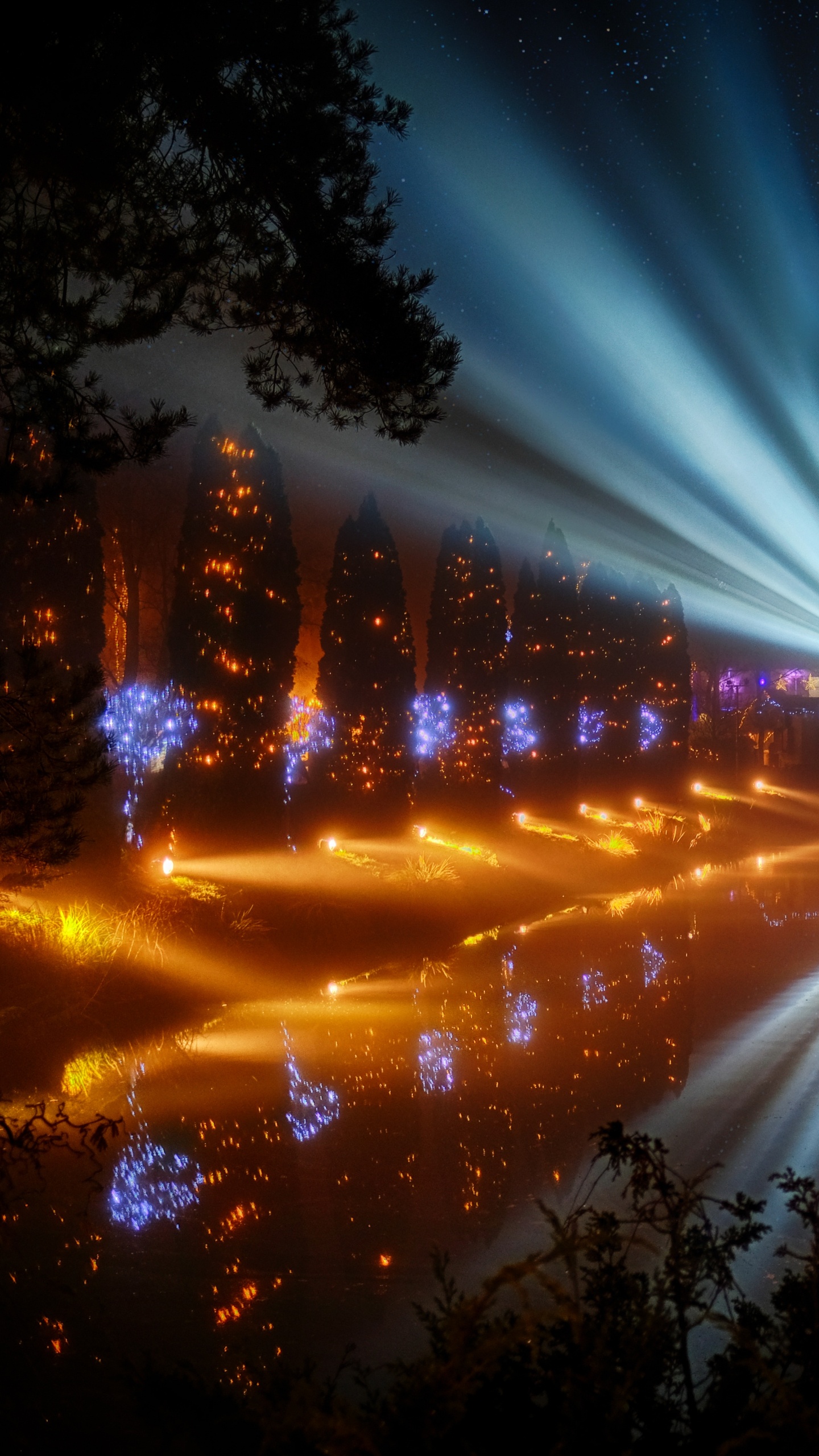 Luces Azules y Verdes en la Carretera Durante la Noche. Wallpaper in 1440x2560 Resolution