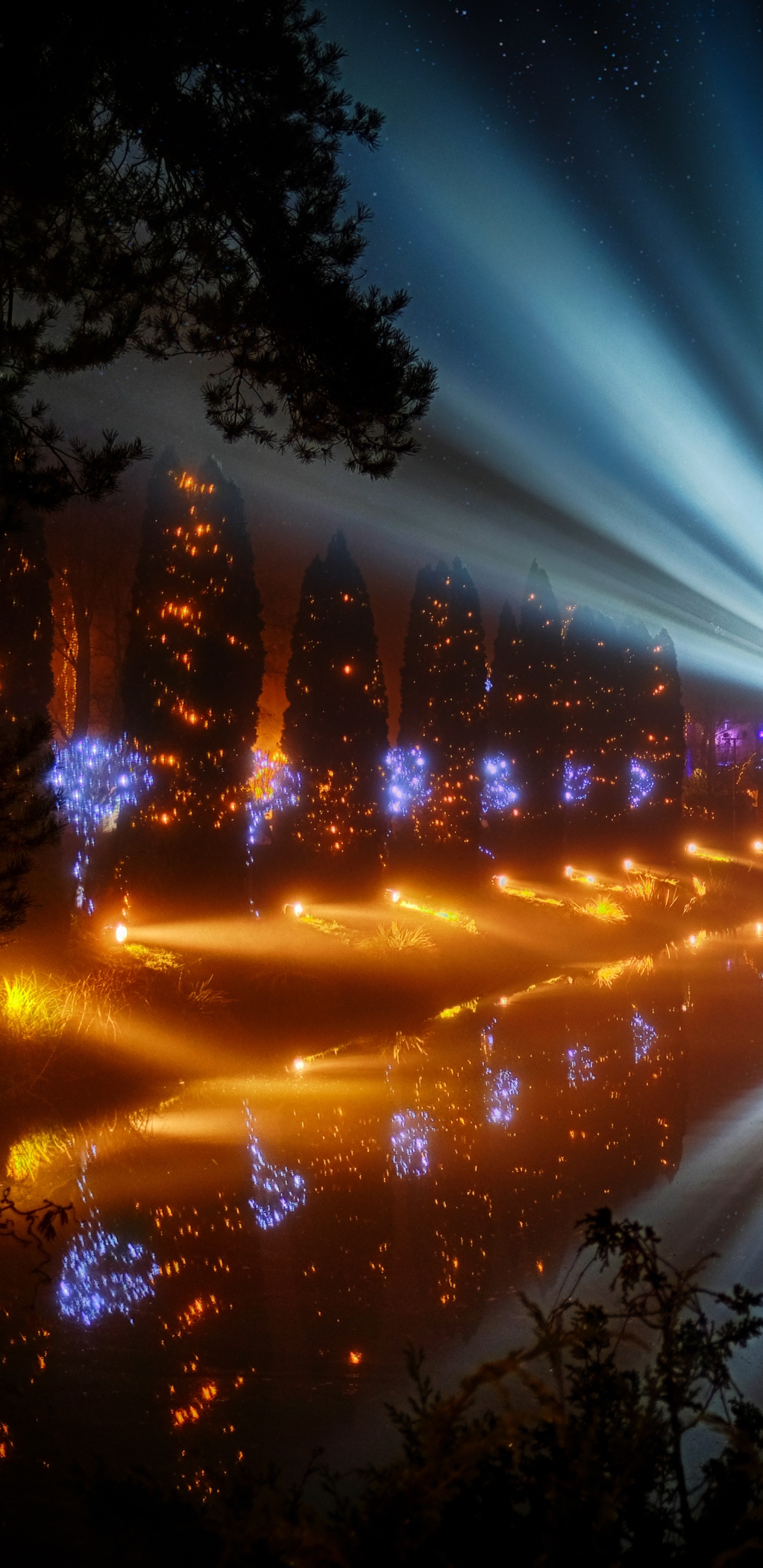 Luces Azules y Verdes en la Carretera Durante la Noche. Wallpaper in 1440x2960 Resolution