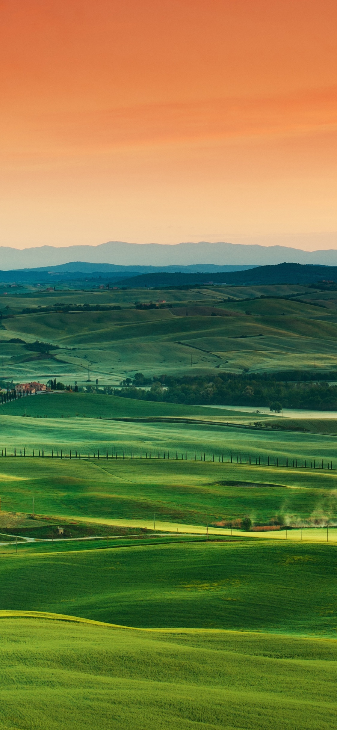 la Toscana, Ecorregión, Verde, Naturaleza, Paisaje Natural. Wallpaper in 1125x2436 Resolution