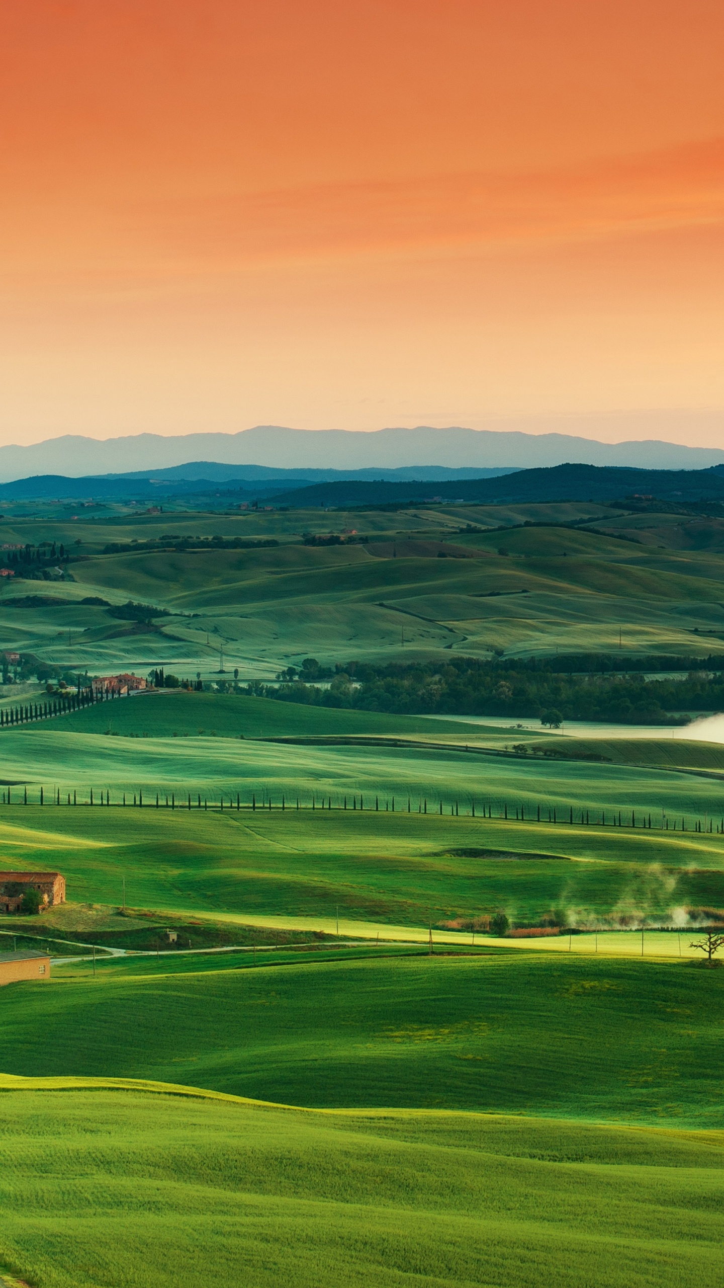 la Toscana, Ecorregión, Verde, Naturaleza, Paisaje Natural. Wallpaper in 1440x2560 Resolution