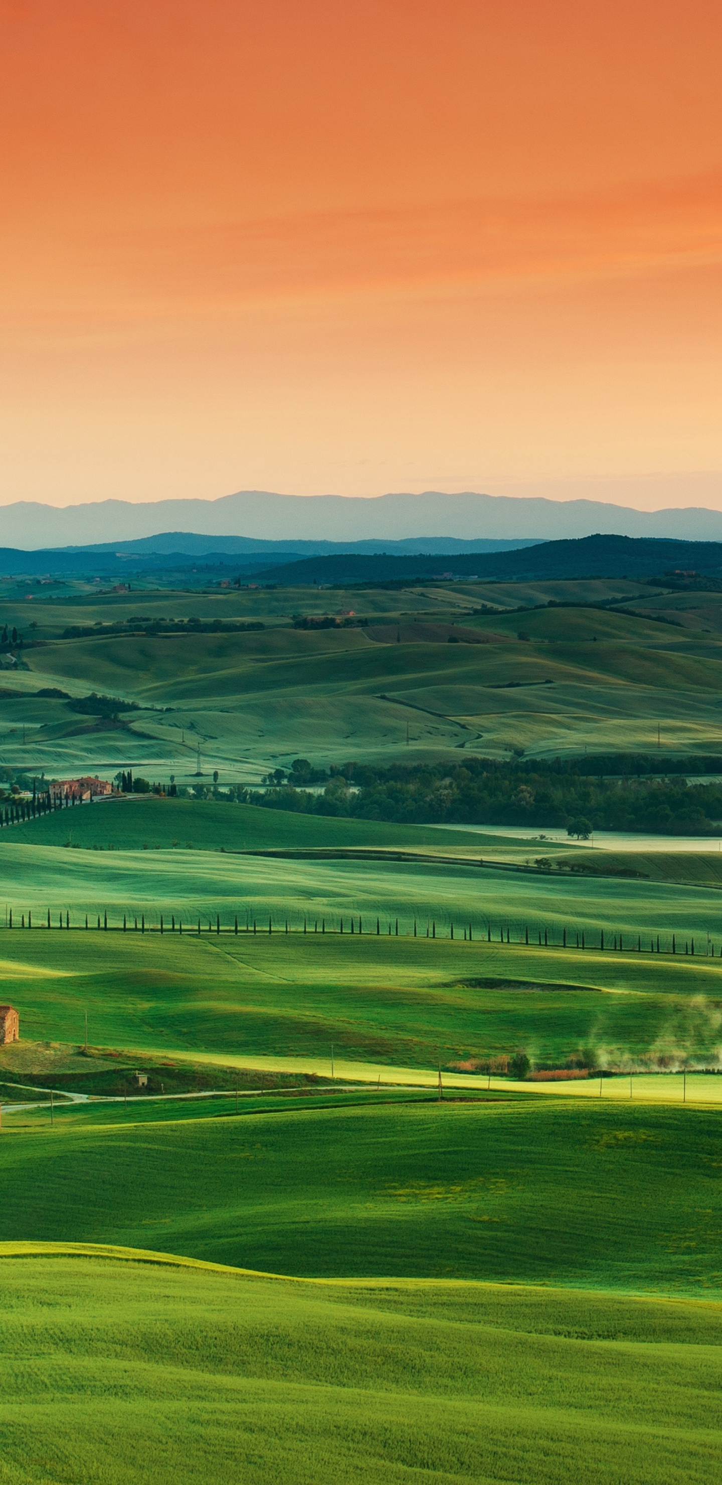 la Toscana, Ecorregión, Verde, Naturaleza, Paisaje Natural. Wallpaper in 1440x2960 Resolution