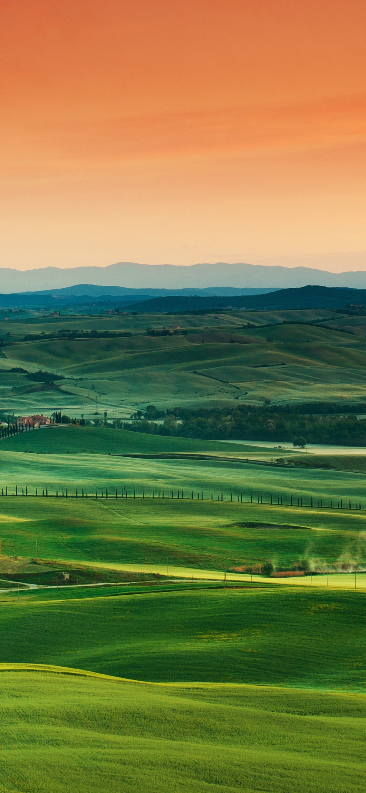 Tuscany, Ecoregion, Cloud, Green, Nature. Wallpaper in 1242x2688 Resolution