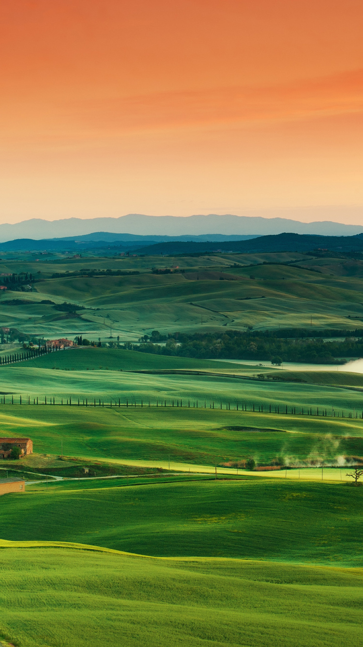 Tuscany, Ecoregion, Cloud, Green, Nature. Wallpaper in 750x1334 Resolution