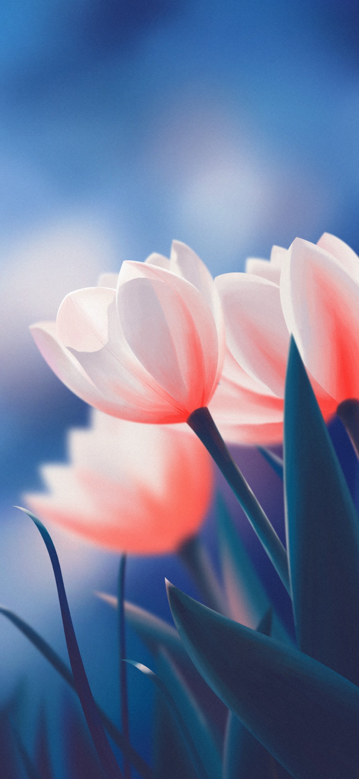 Atmosphère, Lotus, Pétale, Paysage Naturel. Wallpaper in 1242x2688 Resolution