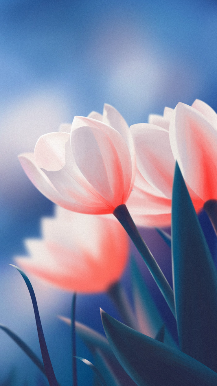 Flower, Cloud, Plant, Atmosphere, Lotus. Wallpaper in 750x1334 Resolution