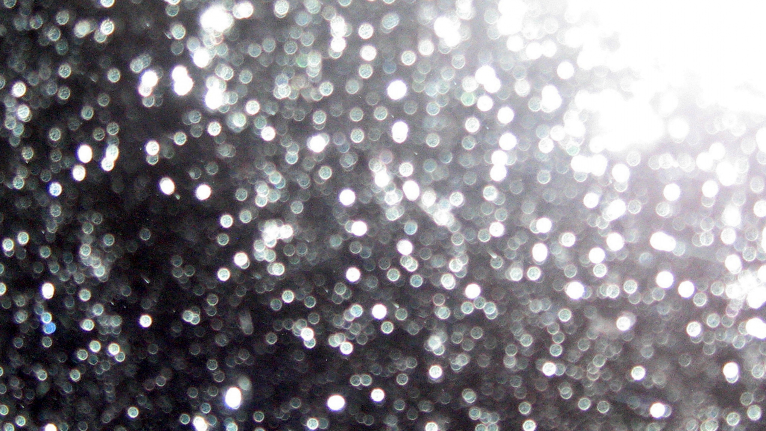 闪闪发光, 湿气, 放下, 光泽, 兰博基尼 壁纸 2560x1440 允许