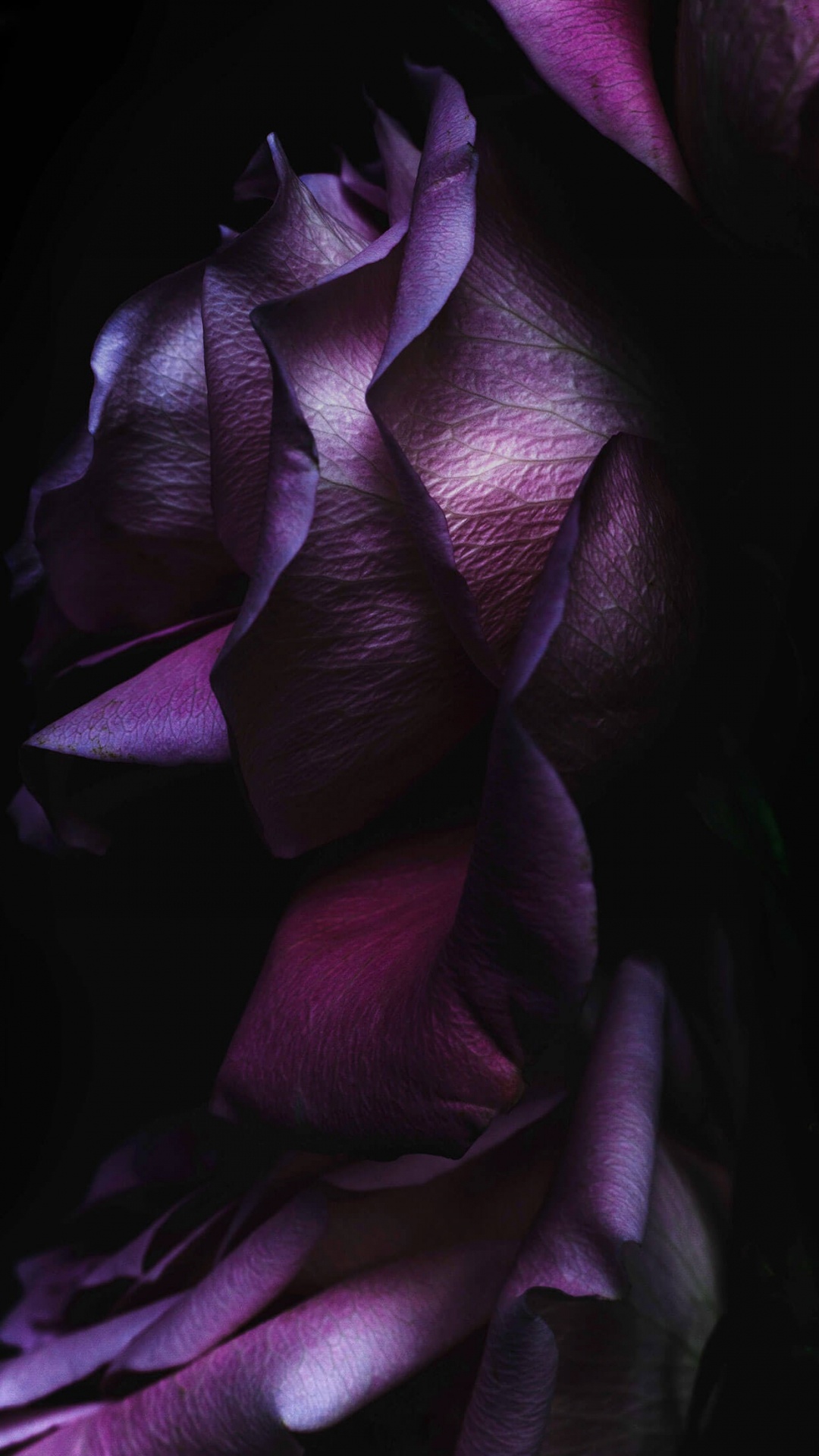 Download 1080x1920 Wallpaper IOS 10, IPhone, Apple, IOS 9, IOS IOS 10, IPhone, Apple, IOS 9, IOS. Wallpaper in 1080x1920 Resolution