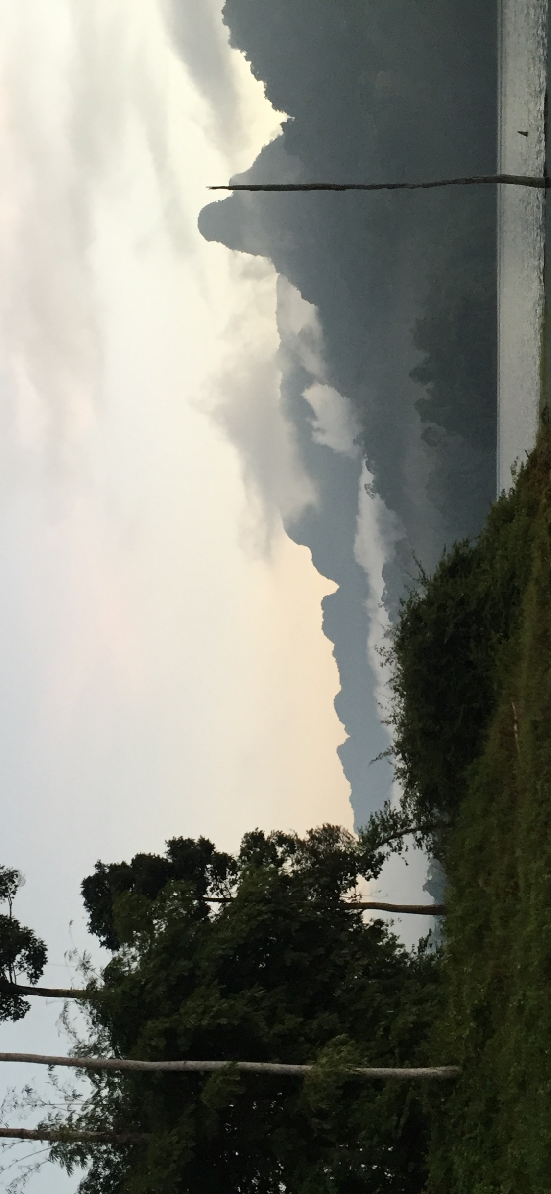 Nature, Daytime, Atmosphere, Woody Plant, World. Wallpaper in 1125x2436 Resolution