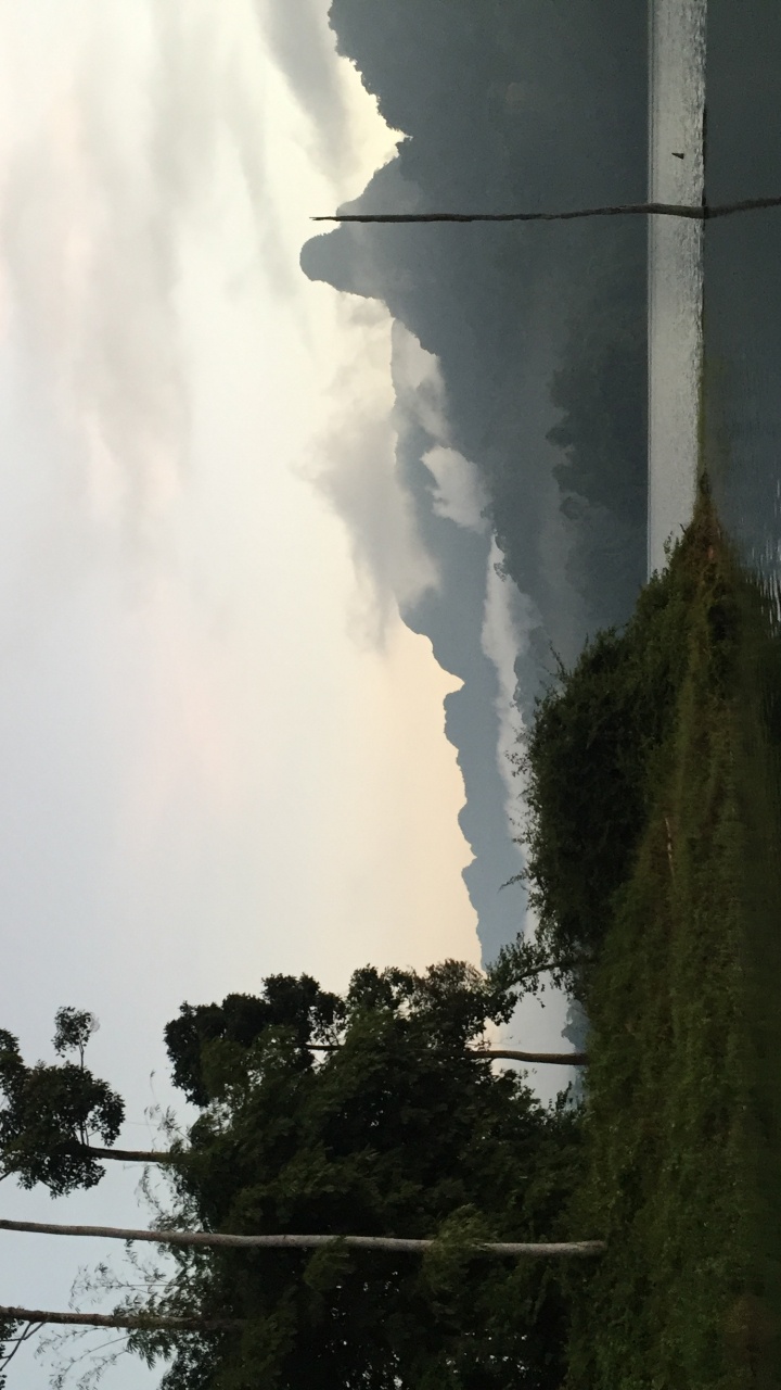 Nature, Daytime, Atmosphere, Woody Plant, World. Wallpaper in 720x1280 Resolution