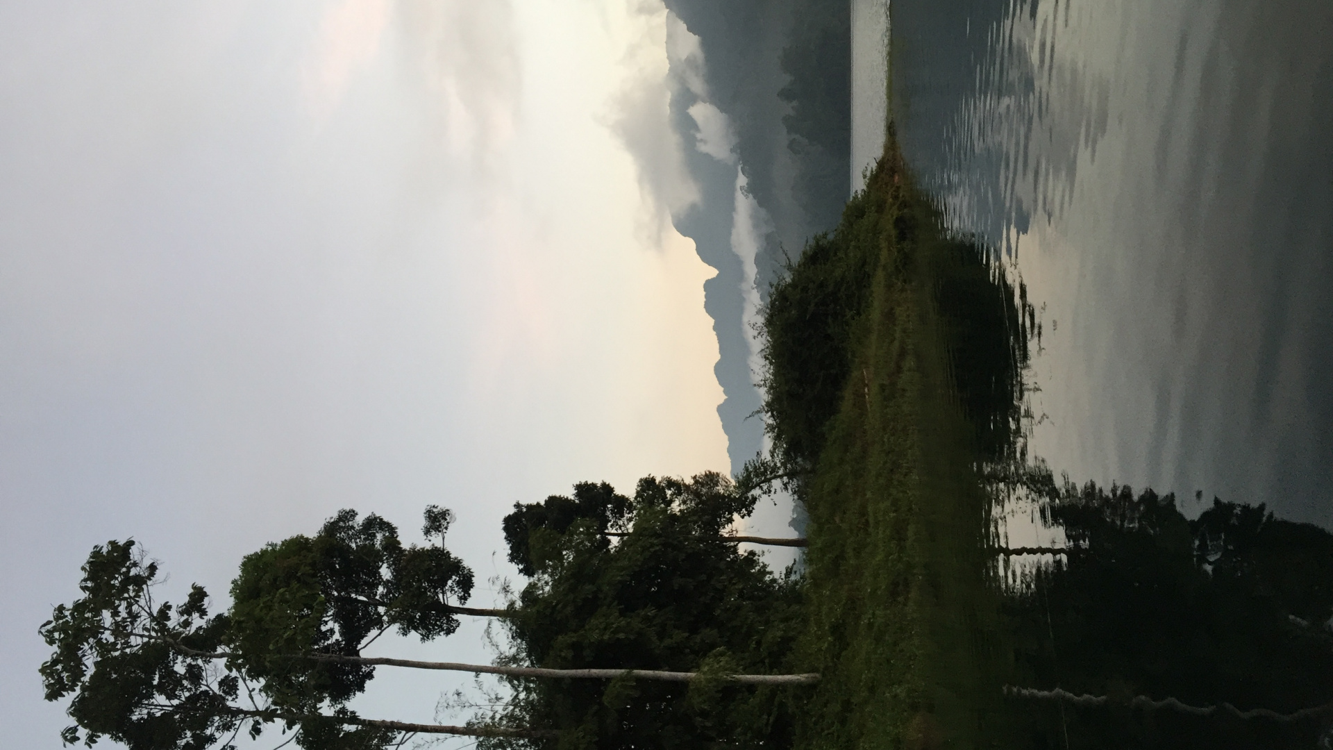 Nature, la Journée, Atmosphère, Plantes Ligneuses, Biome. Wallpaper in 1920x1080 Resolution