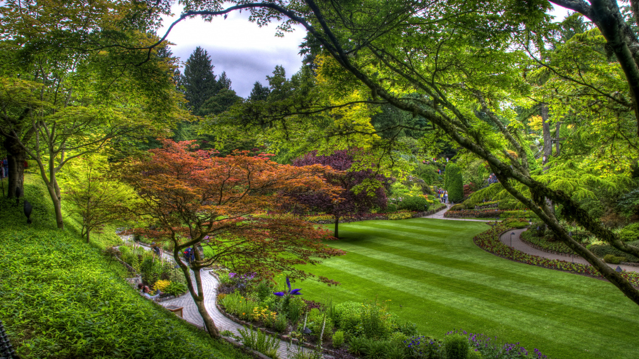 Green and Brown Trees on Green Grass Field Under Blue Sky During Daytime. Wallpaper in 1280x720 Resolution