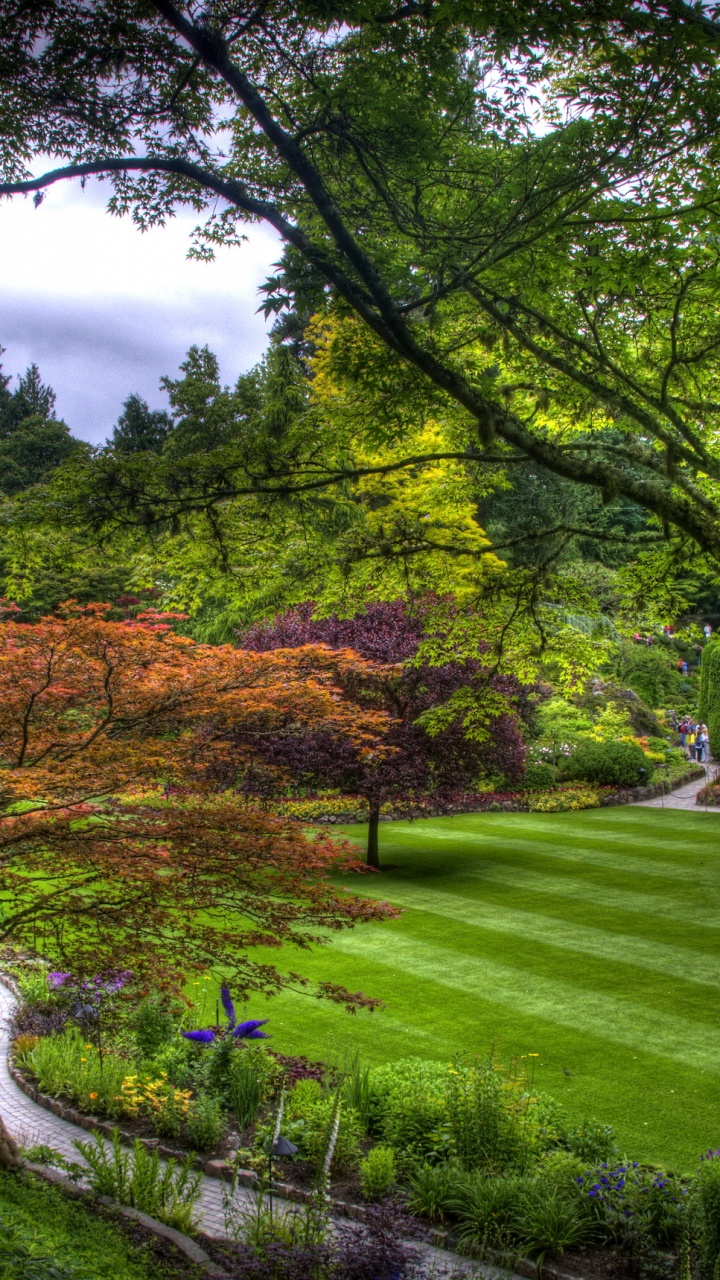 Green and Brown Trees on Green Grass Field Under Blue Sky During Daytime. Wallpaper in 720x1280 Resolution