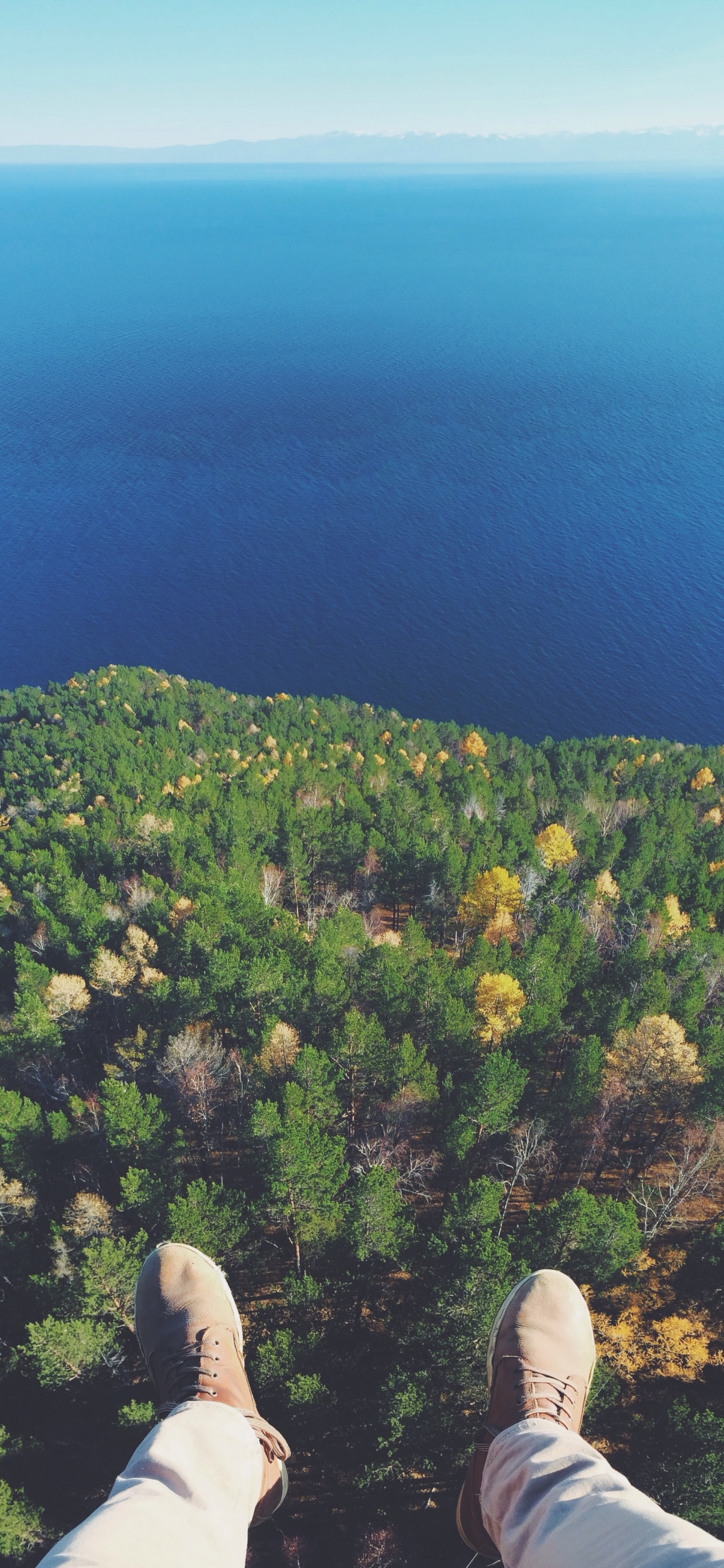 Vegetation, Hill, Grat, Baum, Urlaub. Wallpaper in 1242x2688 Resolution