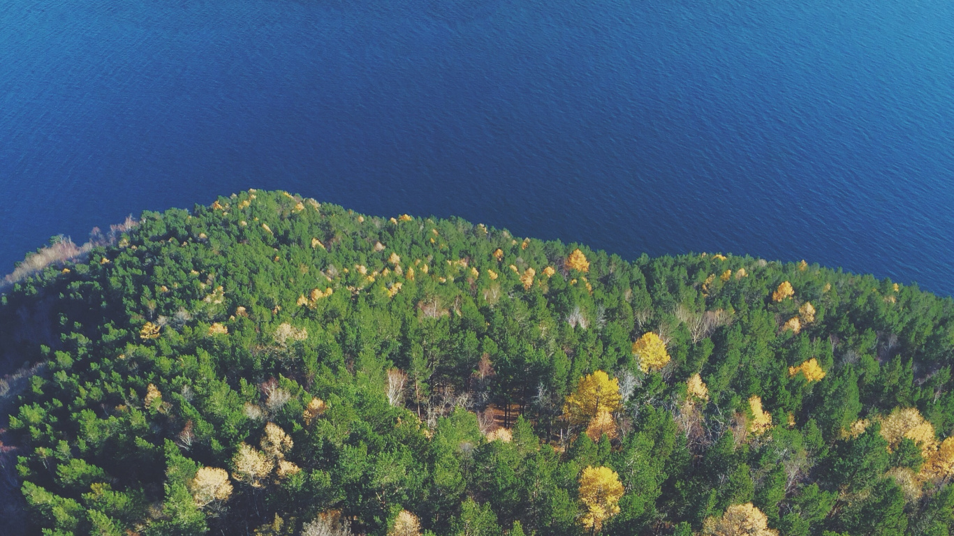 Vegetation, Hill, Grat, Baum, Urlaub. Wallpaper in 1366x768 Resolution