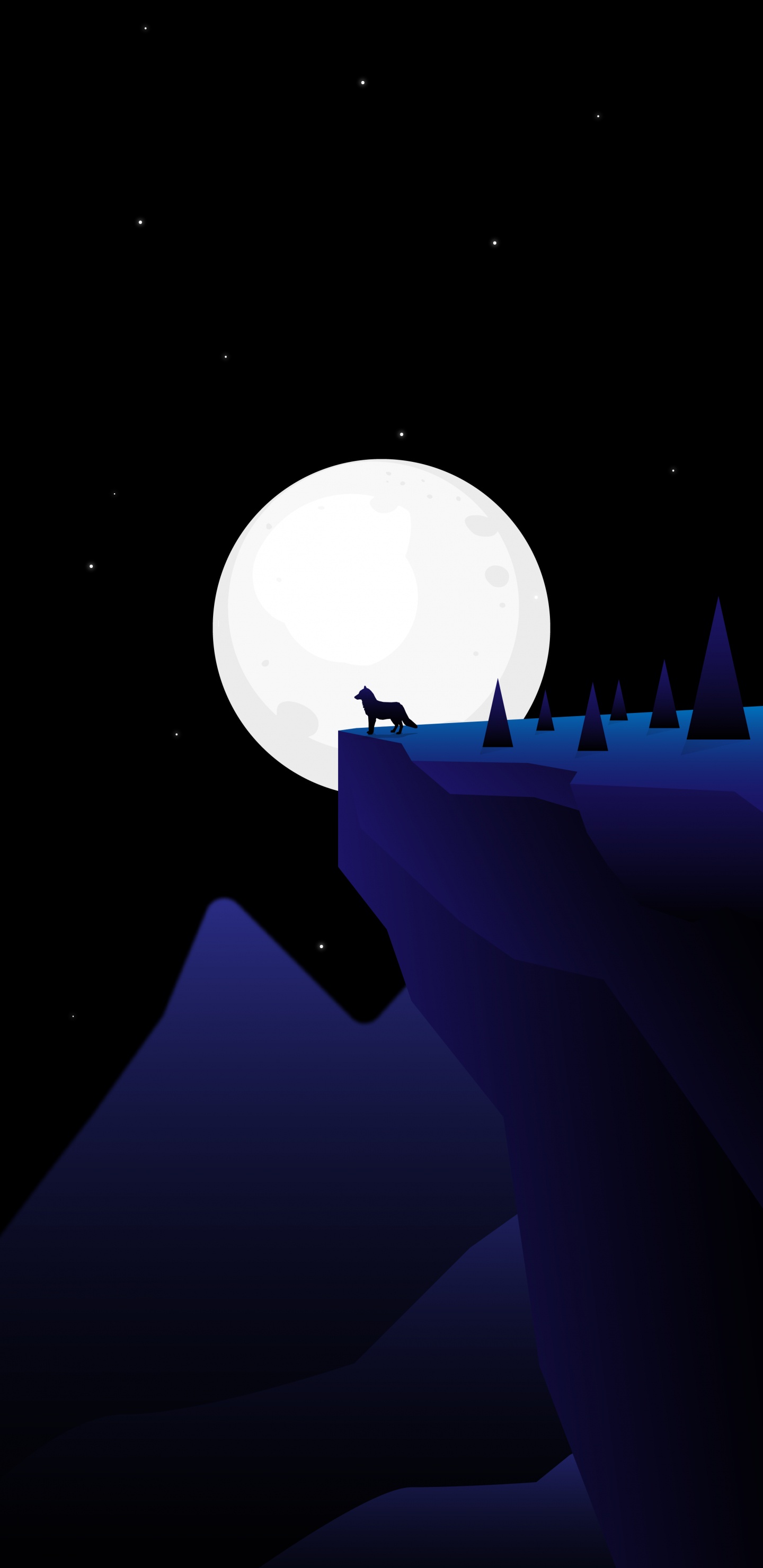 Nacht, Atmosphäre, Astronomisches Objekt, Himmlisches Ereignis, Raum. Wallpaper in 1440x2960 Resolution