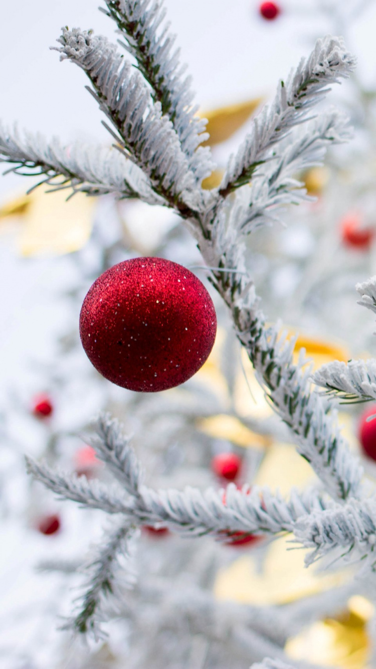 Fruit Rouge Sur L'arbre Vert Couvert de Neige. Wallpaper in 750x1334 Resolution