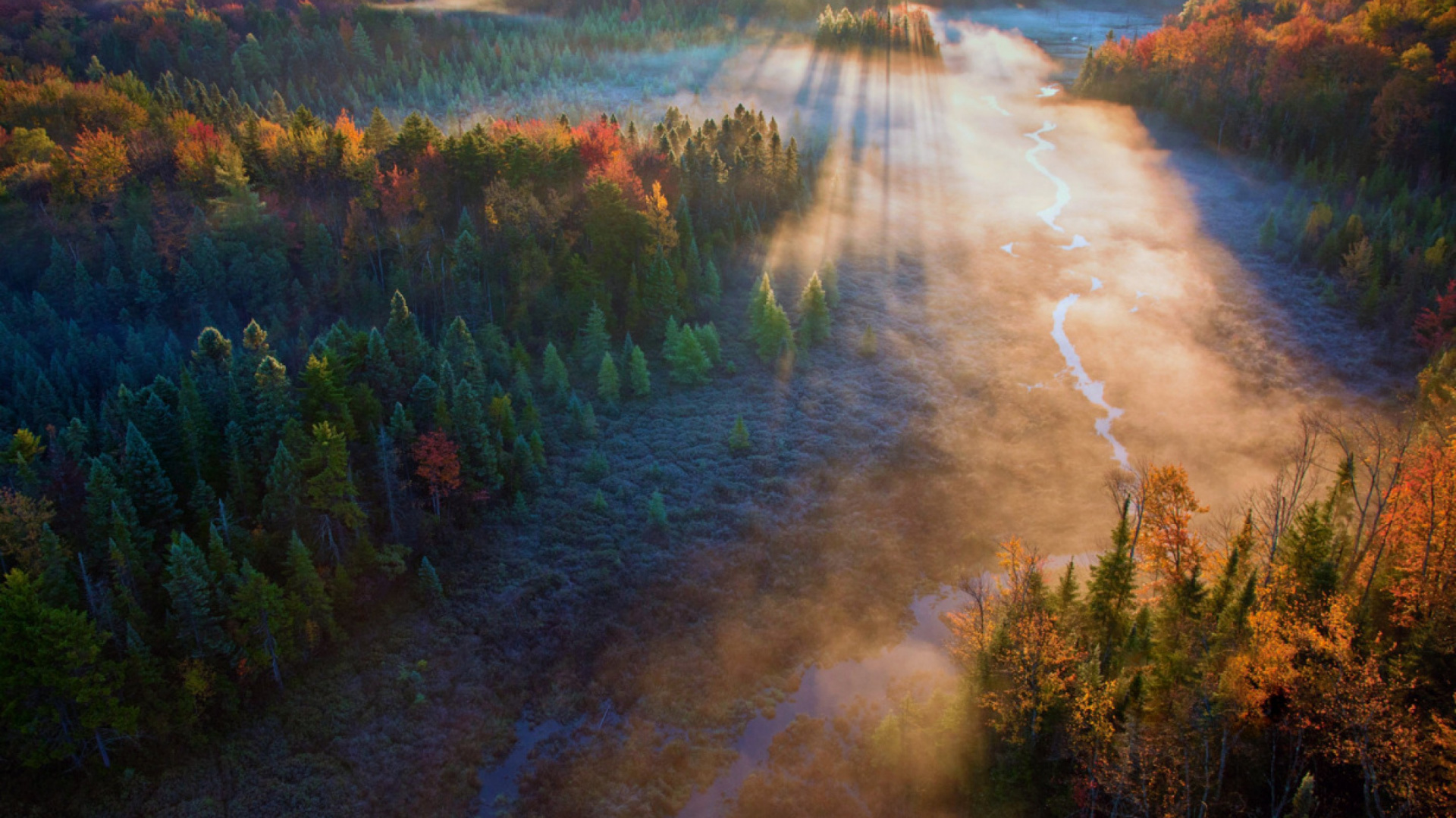 性质, 早上, 荒野, 气氛, 反射 壁纸 1920x1080 允许