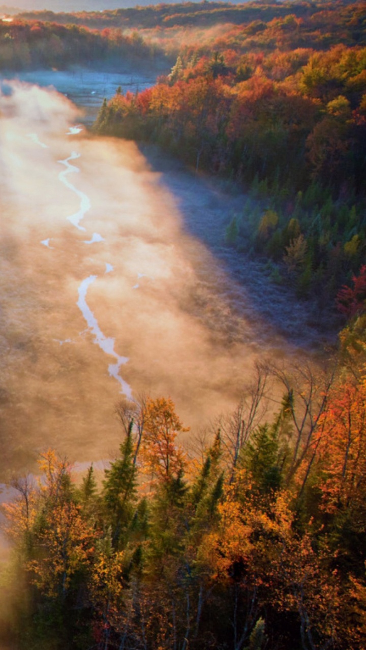 性质, 早上, 荒野, 气氛, 反射 壁纸 720x1280 允许