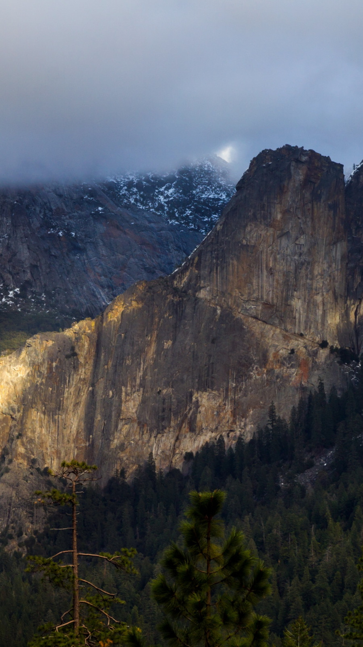 Green Trees Near Brown Mountain Under White Clouds During Daytime. Wallpaper in 750x1334 Resolution