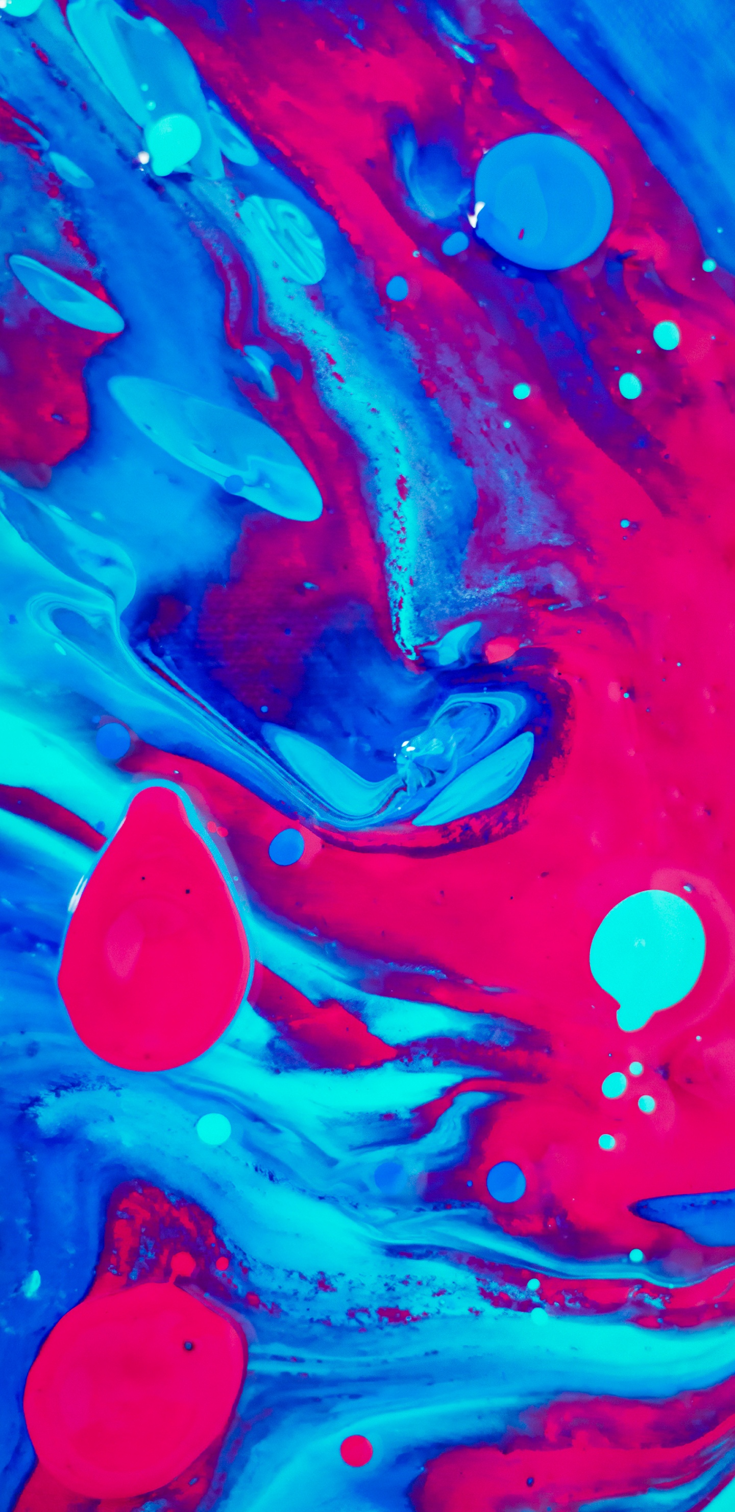 Was Ist Dein Vergnügen?, Punisher, Hol Die Bolzenschneider, Album, Blau. Wallpaper in 1440x2960 Resolution