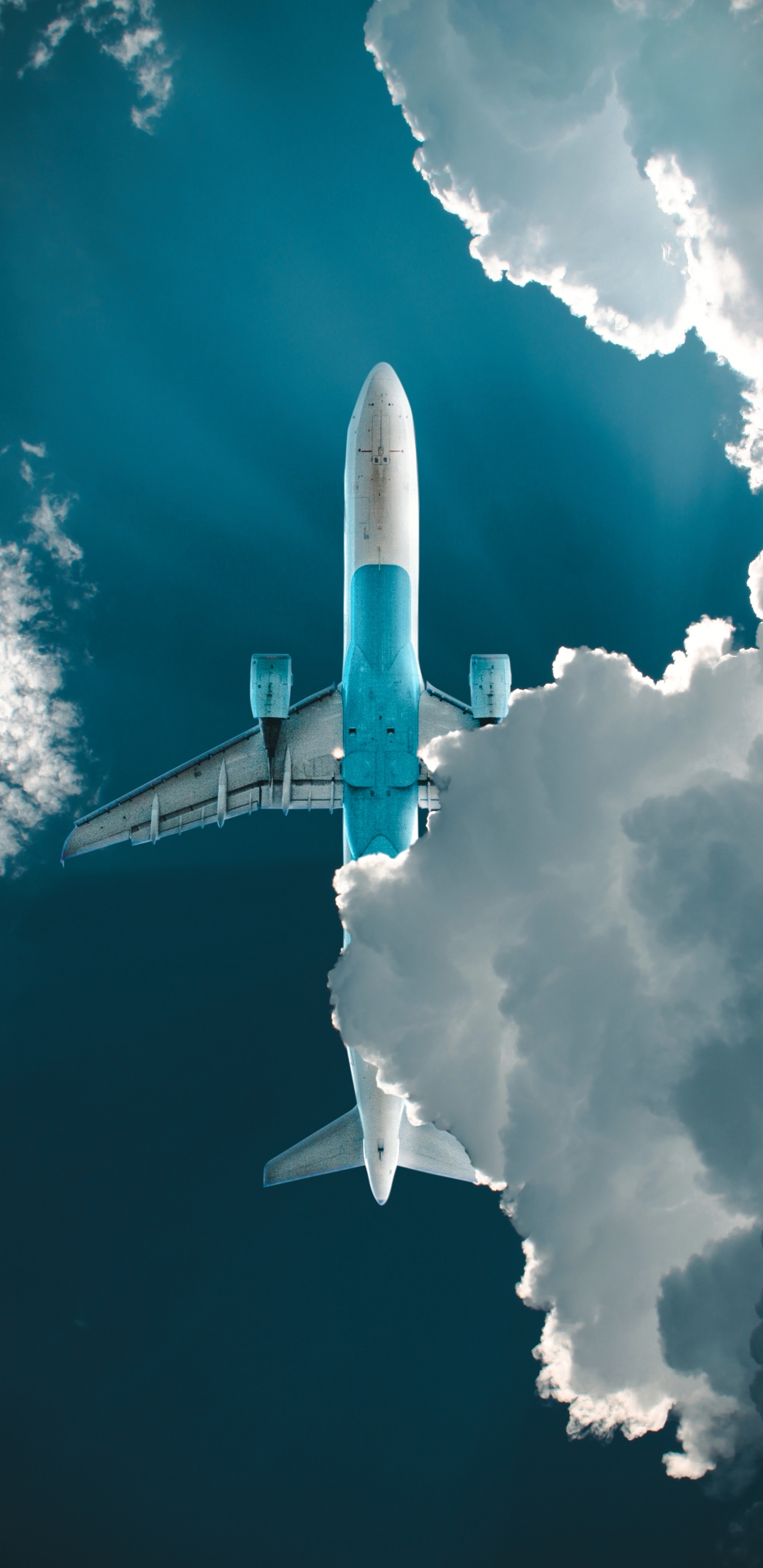 Flug, Düsenflugzeug, Airbus A320 Familie, Cloud, Atmosphäre. Wallpaper in 1440x2960 Resolution