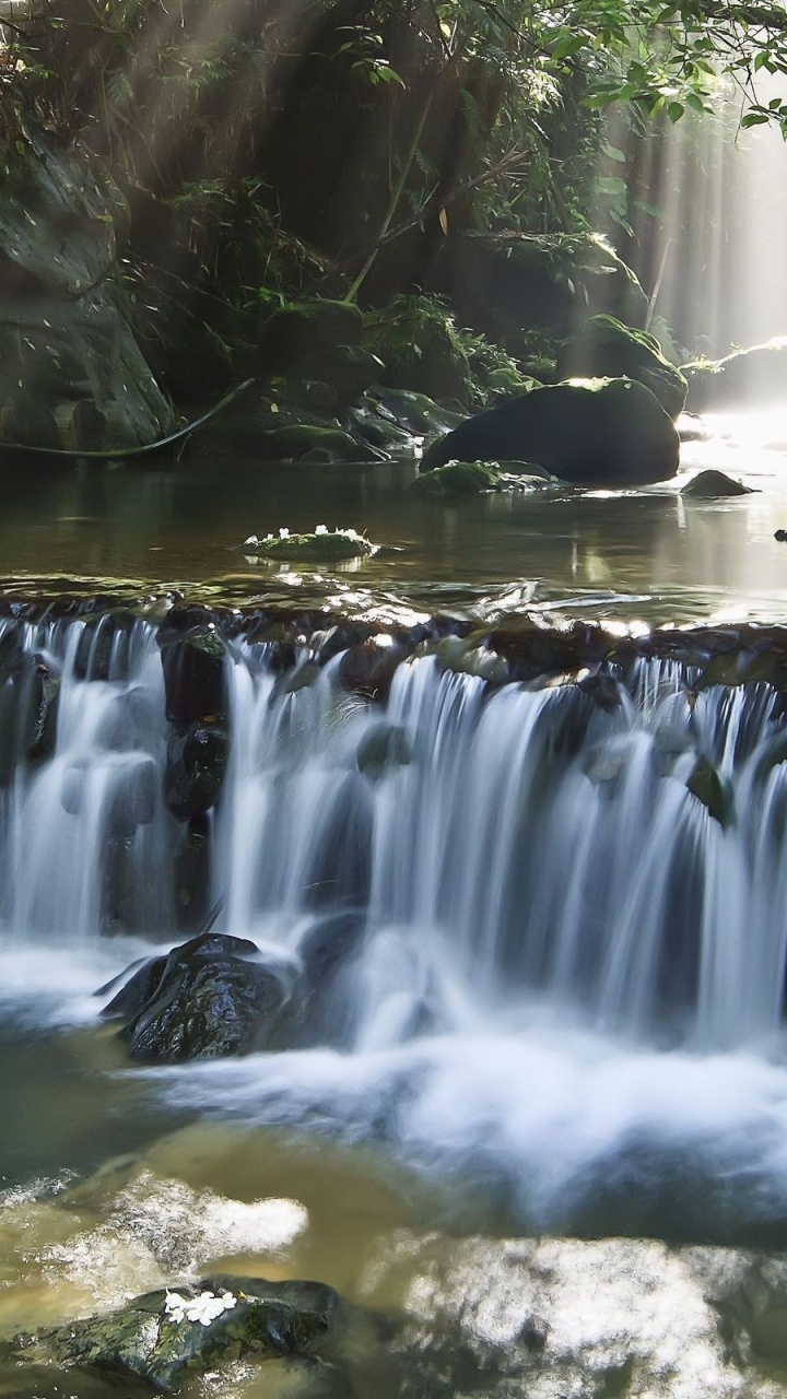 Cascades au Milieu de la Forêt. Wallpaper in 720x1280 Resolution