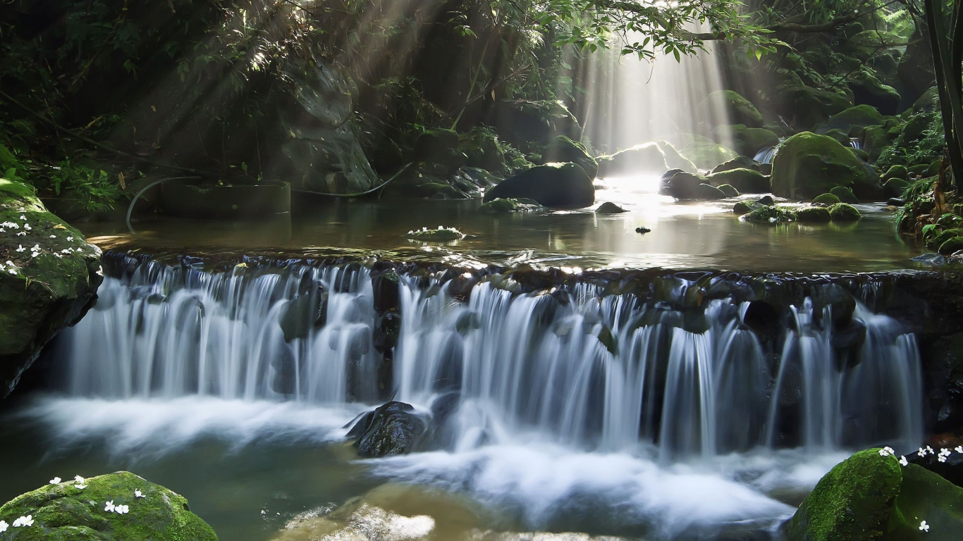 Waterfalls in The Middle of The Forest. Wallpaper in 1366x768 Resolution
