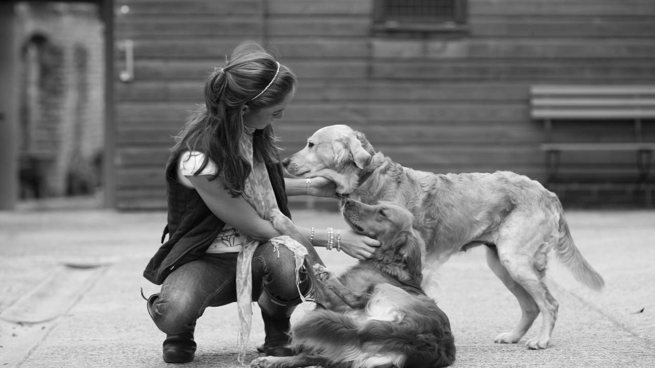 Mujer en Camiseta Negra y Pantalón Negro Sentado al Lado de Golden Retriever. Wallpaper in 1280x720 Resolution