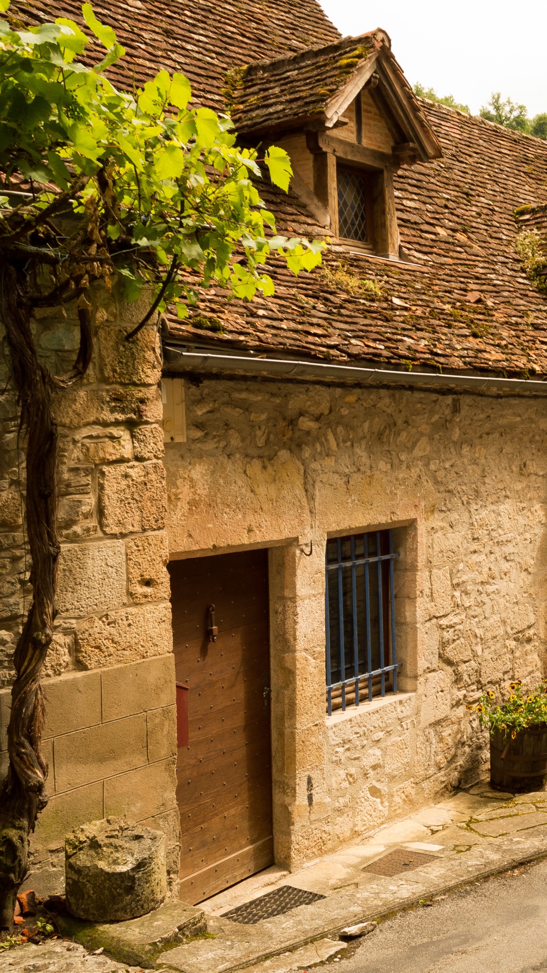 Maison en Brique Brune Avec Des Plantes Vertes. Wallpaper in 1080x1920 Resolution