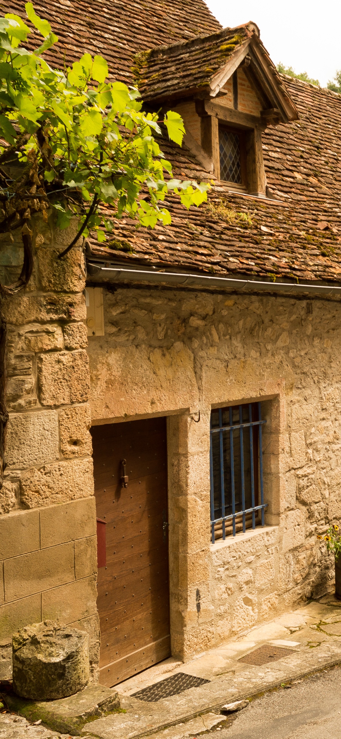 Maison en Brique Brune Avec Des Plantes Vertes. Wallpaper in 1125x2436 Resolution
